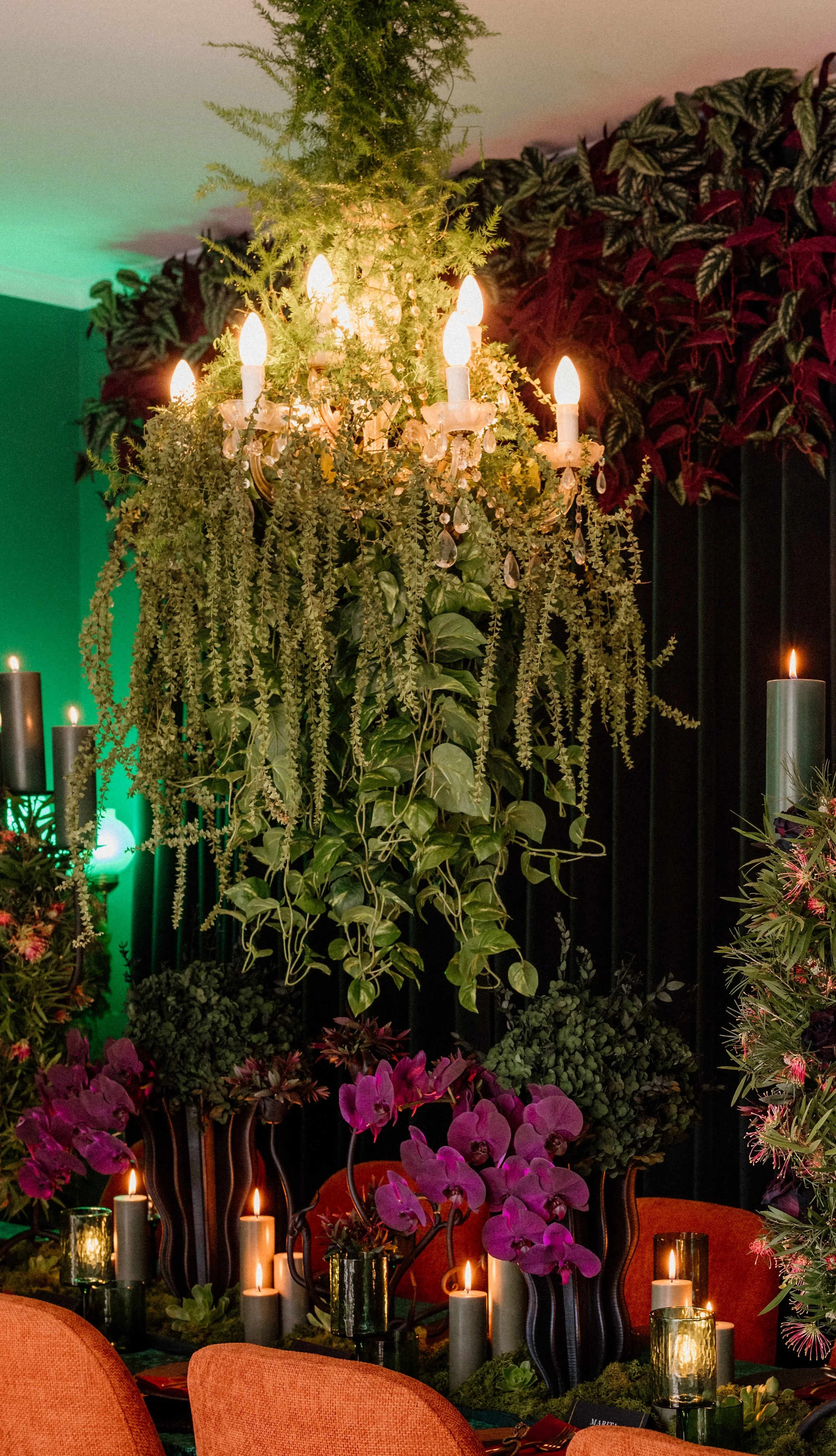 tahneejadephotography_GardenOfEden-68 (1).jpg