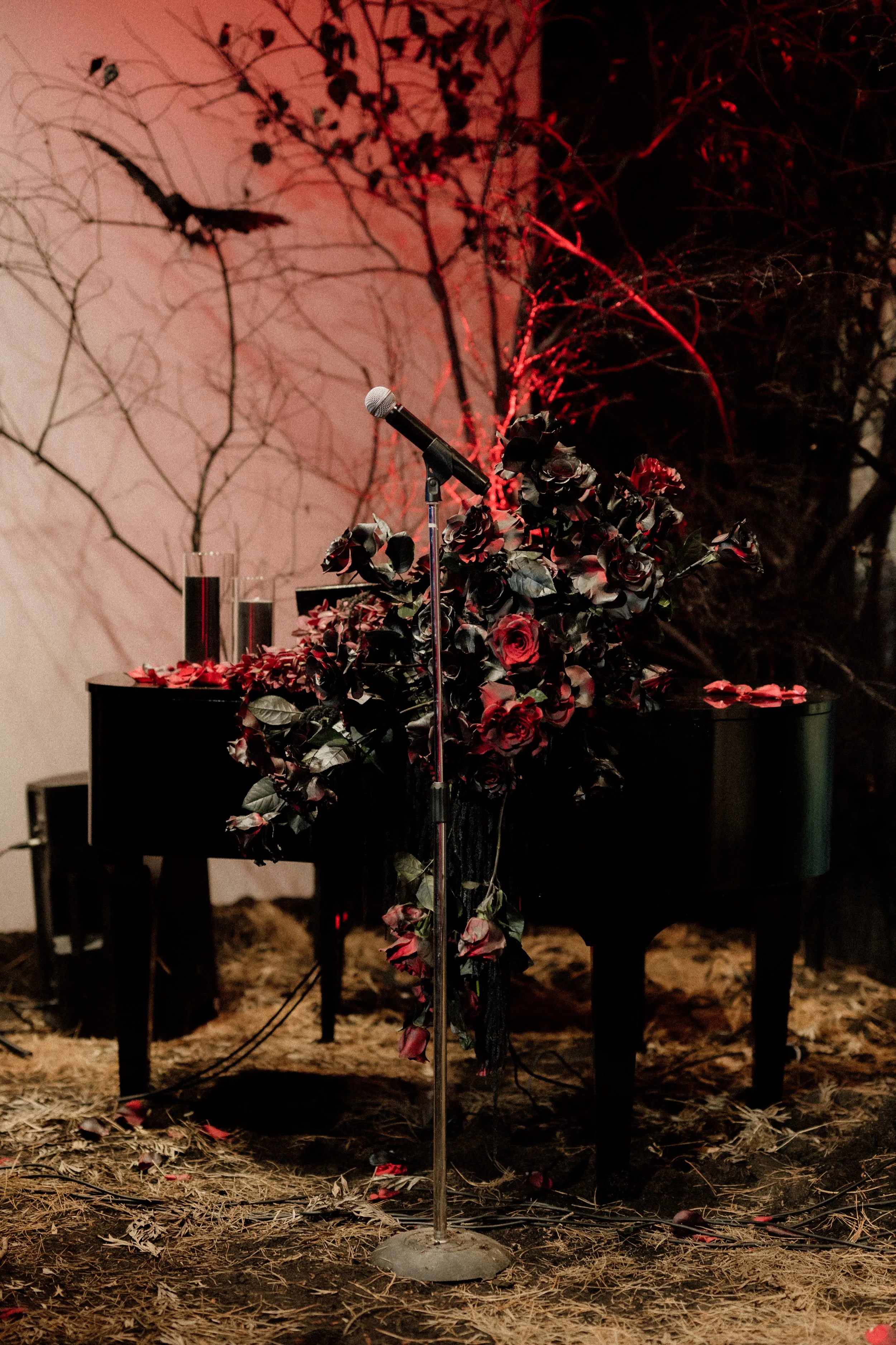 tahneejadephotography_wickedwinter-91.jpg