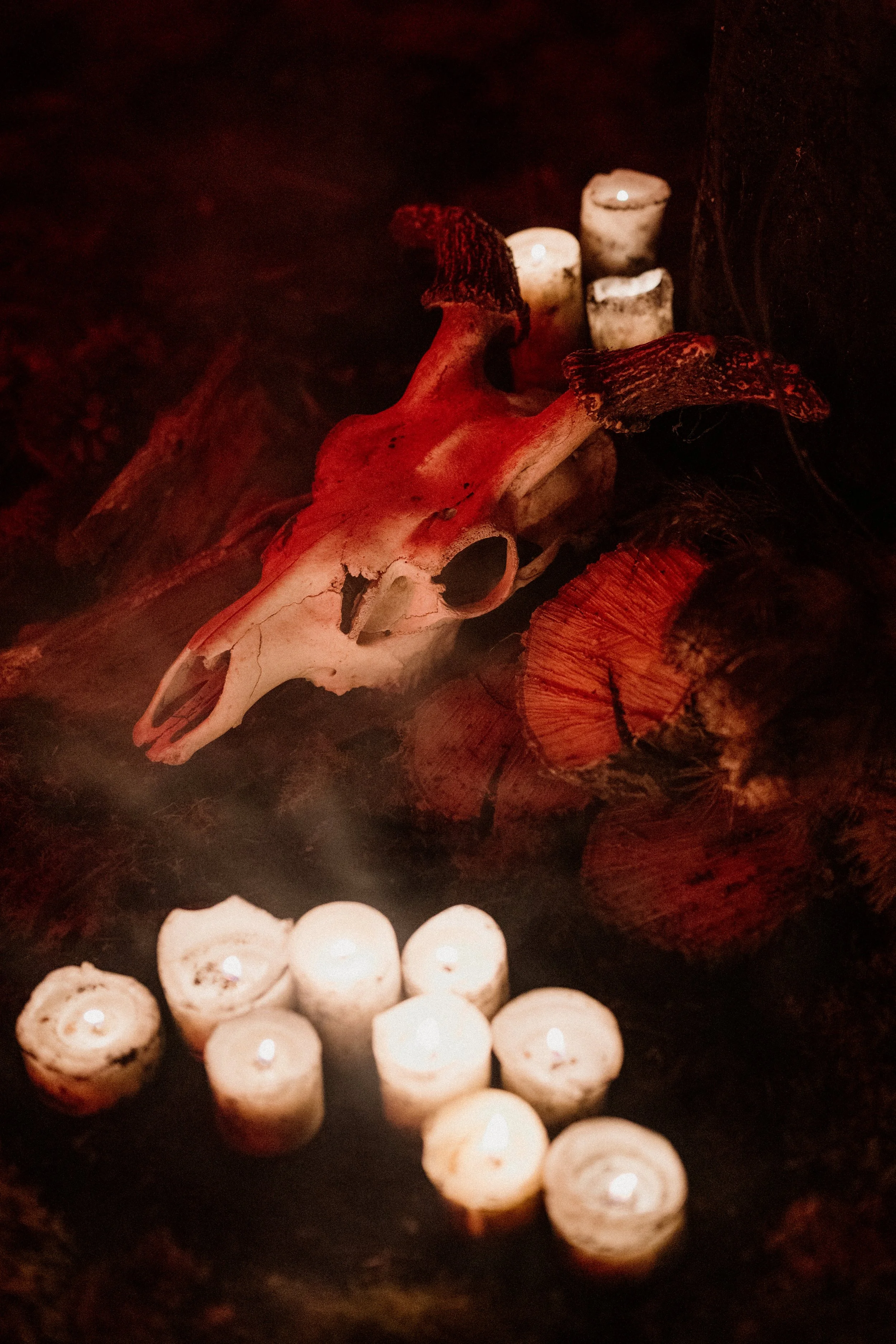tahneejadephotography_wickedwinter-94.jpg