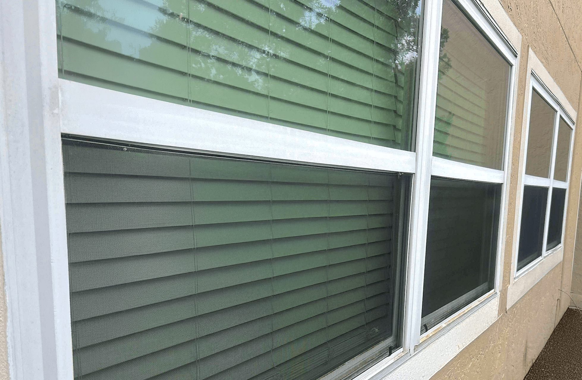 Exterior view of a tan home with multiple white-framed windows featuring closed blinds, showcasing a variety of standard window styles installed side by side.