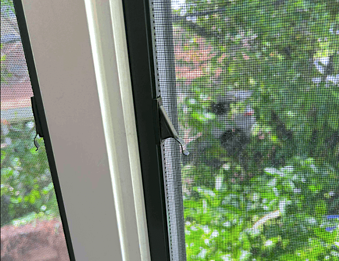 Alt text: Close-up view of a window screen with a visible latch and handle, showing wear and damage, with a leafy garden visible through the mesh in the background.