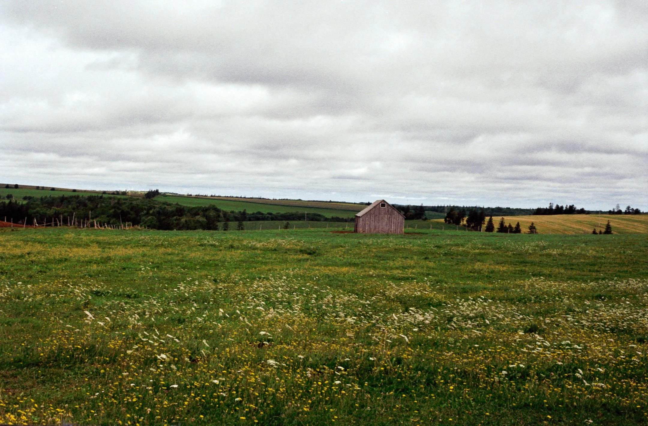 barn in the field best_.jpg