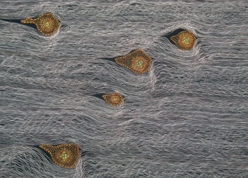 Apt 10 Greg Somerville & Paula Martin 1 - 14 Dec 2026