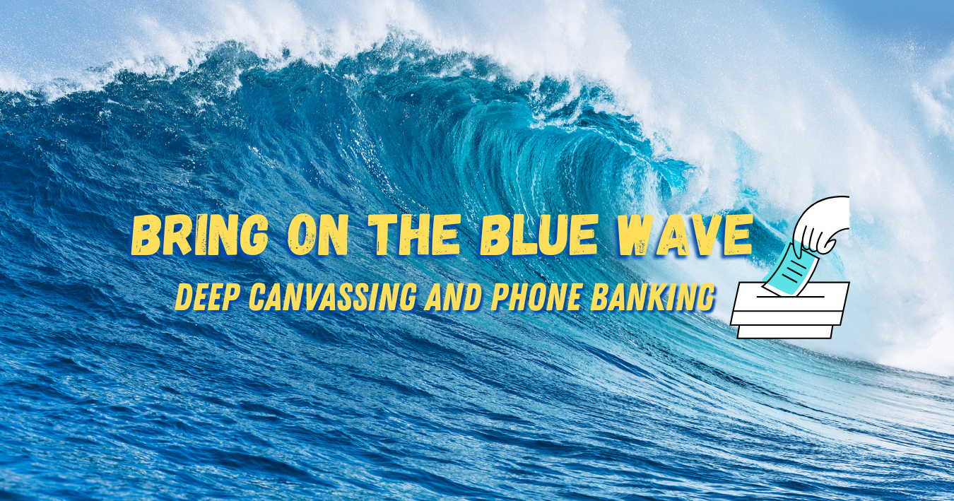 Bring on the Blue Wave! Actions to win elections in 2026
