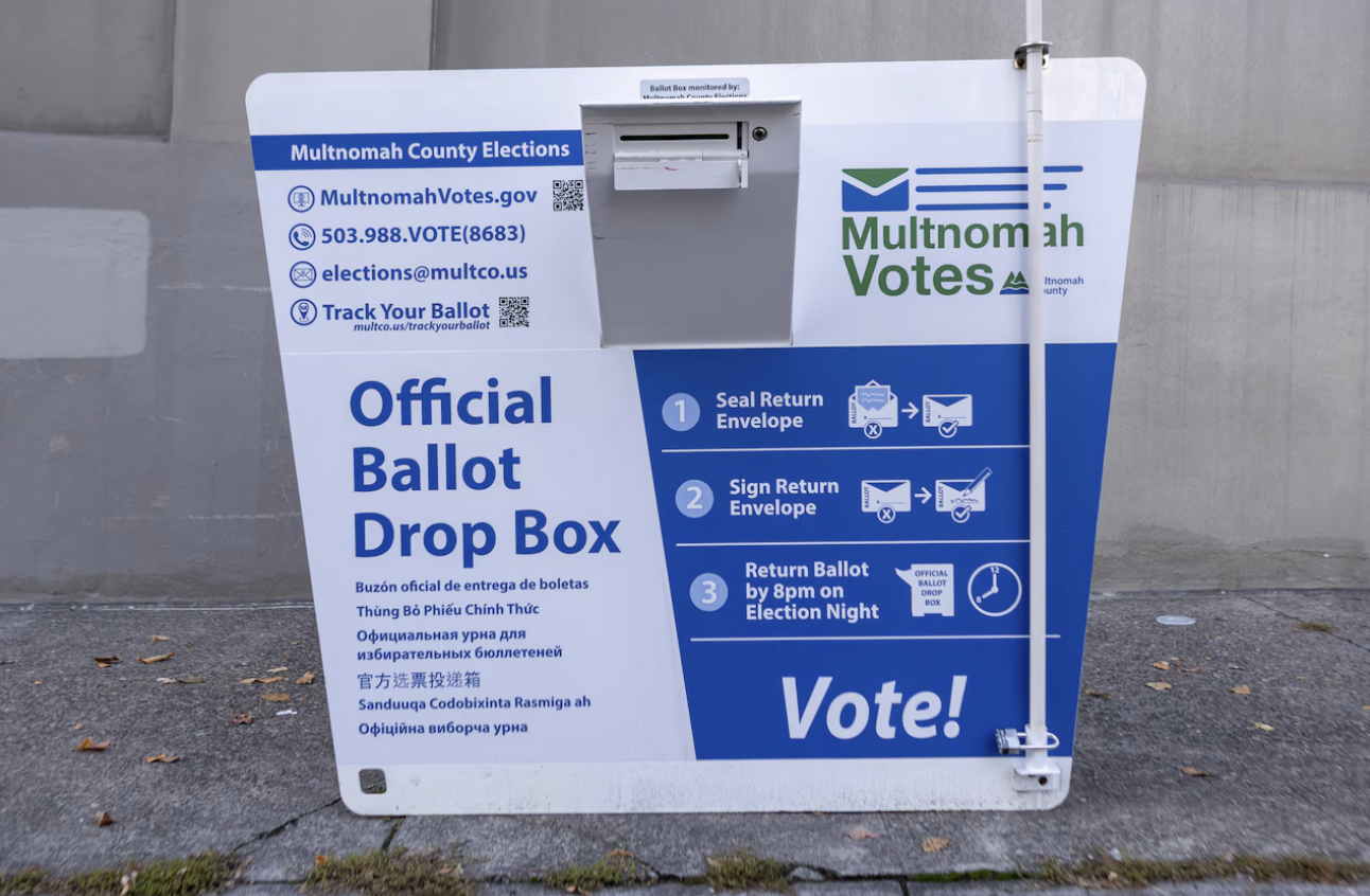 Sign Up for D2 Election Protection Team