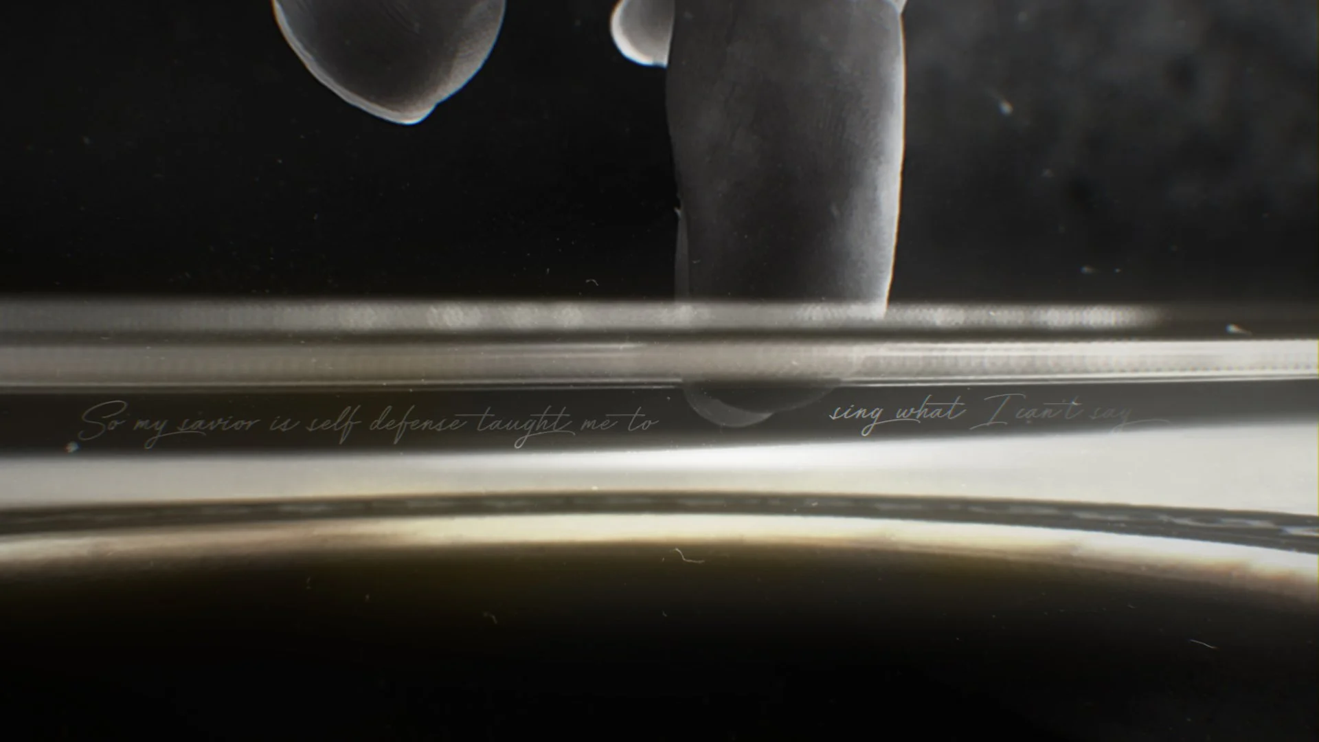 LV_V01__001.jpg