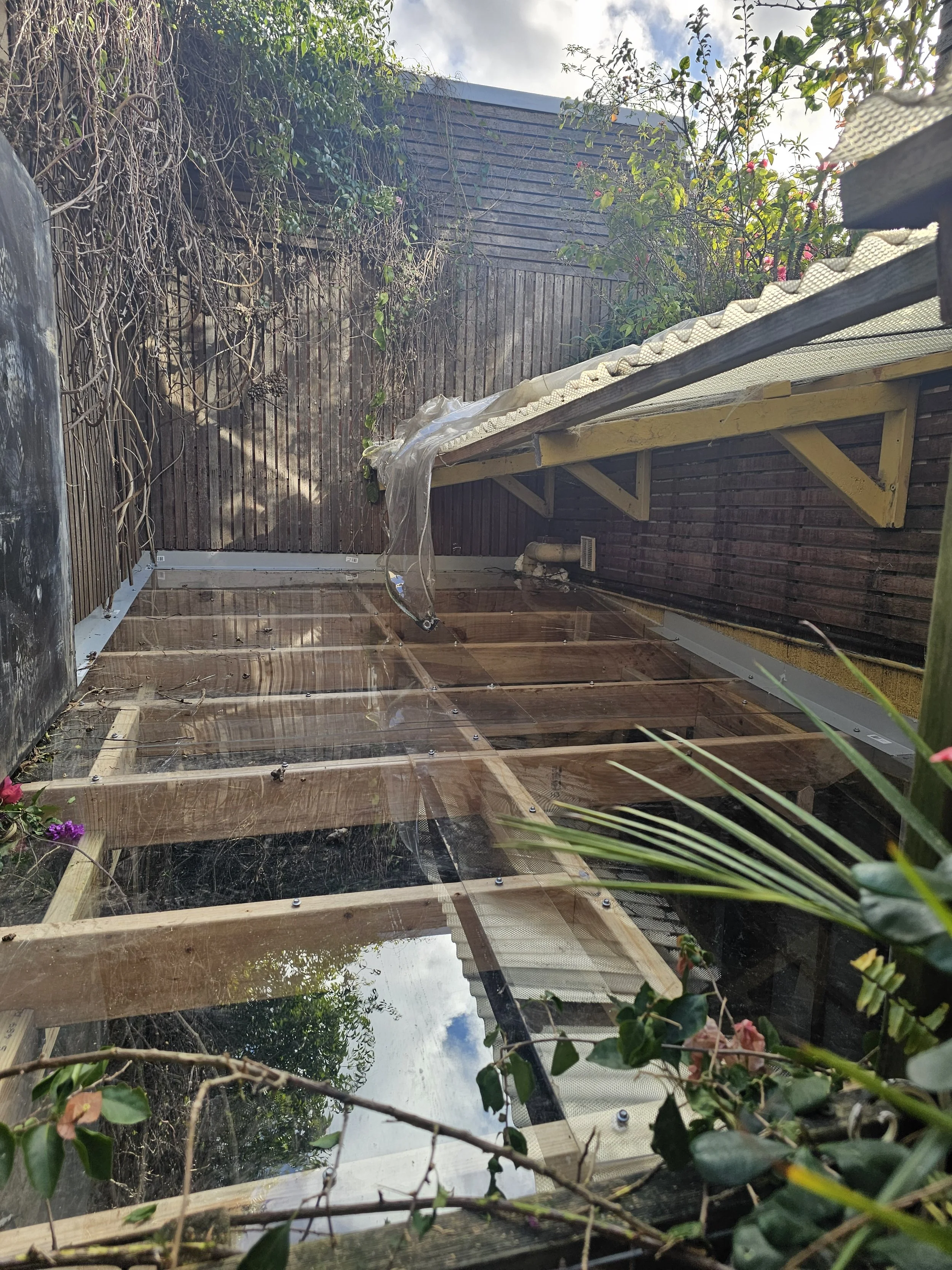 Top view, after perplex sheets installation