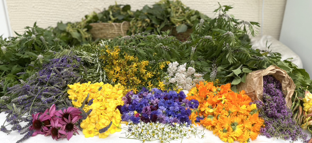 Herbal Workshop