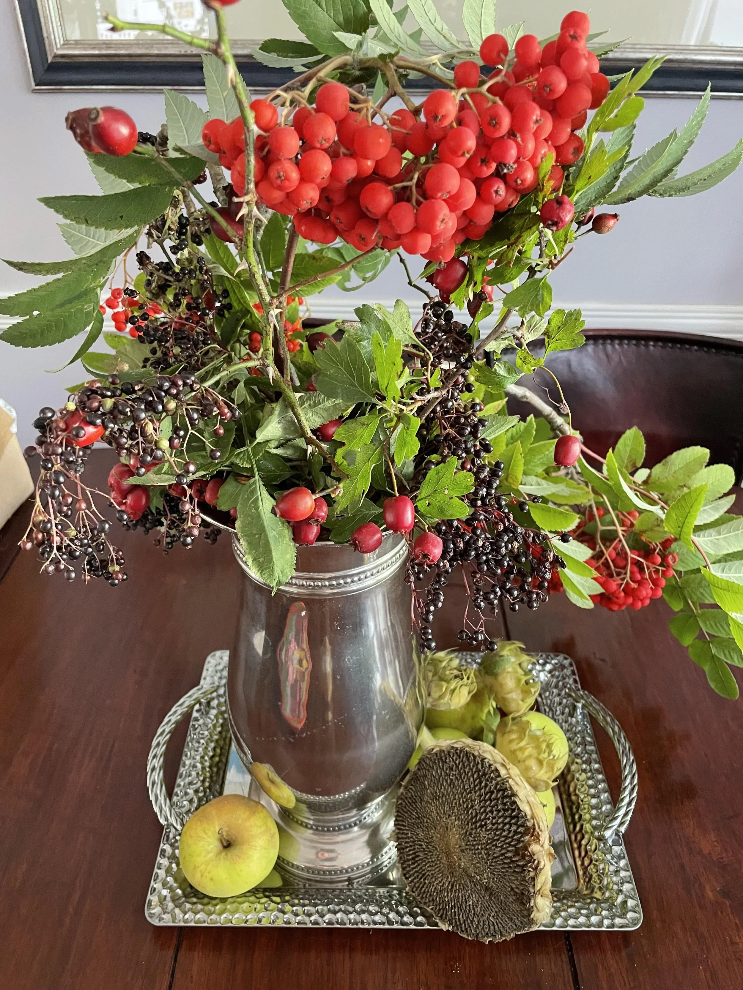 Seeds Roots And Beautiful Fruits