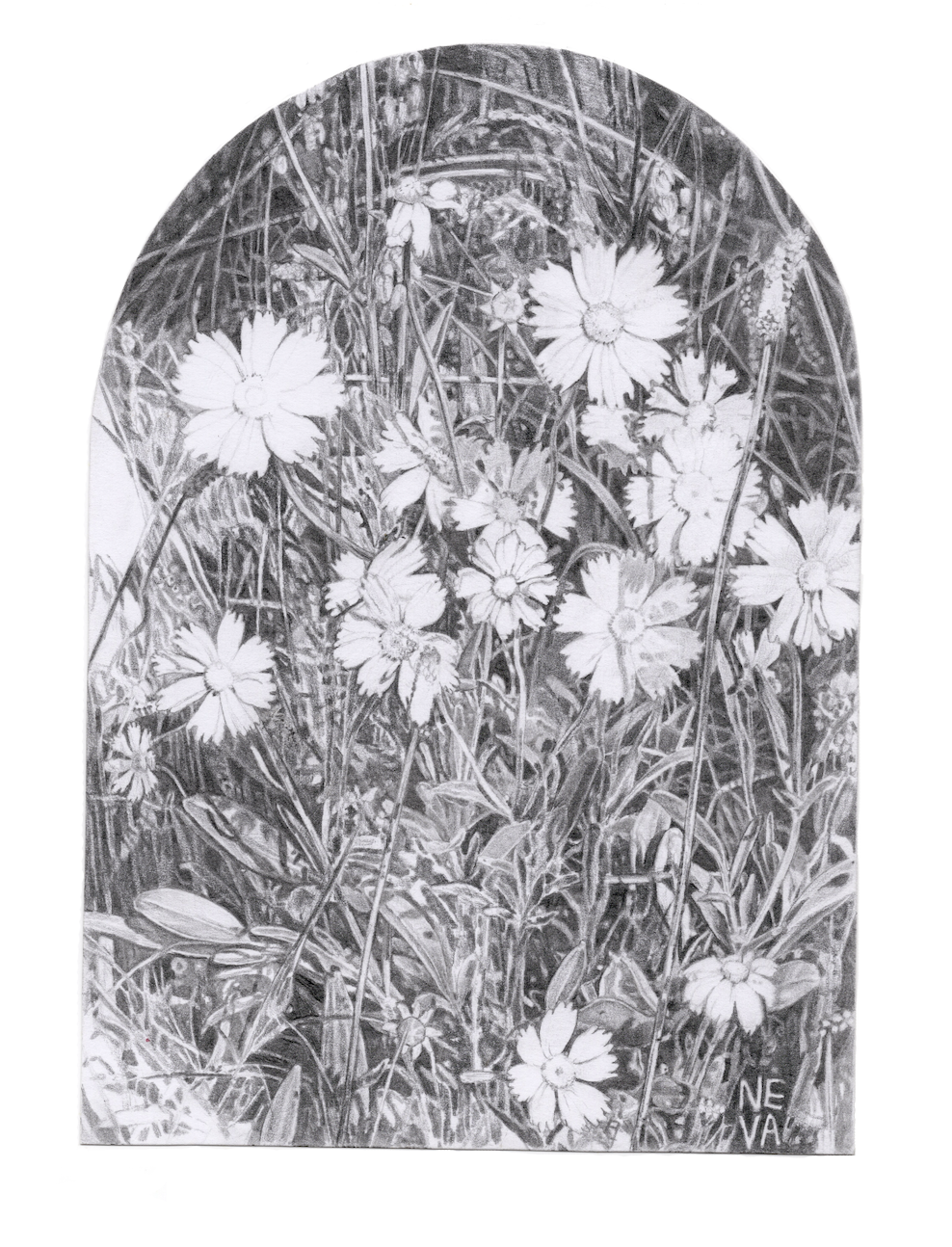 Spring in the Necropolis Original Drawing