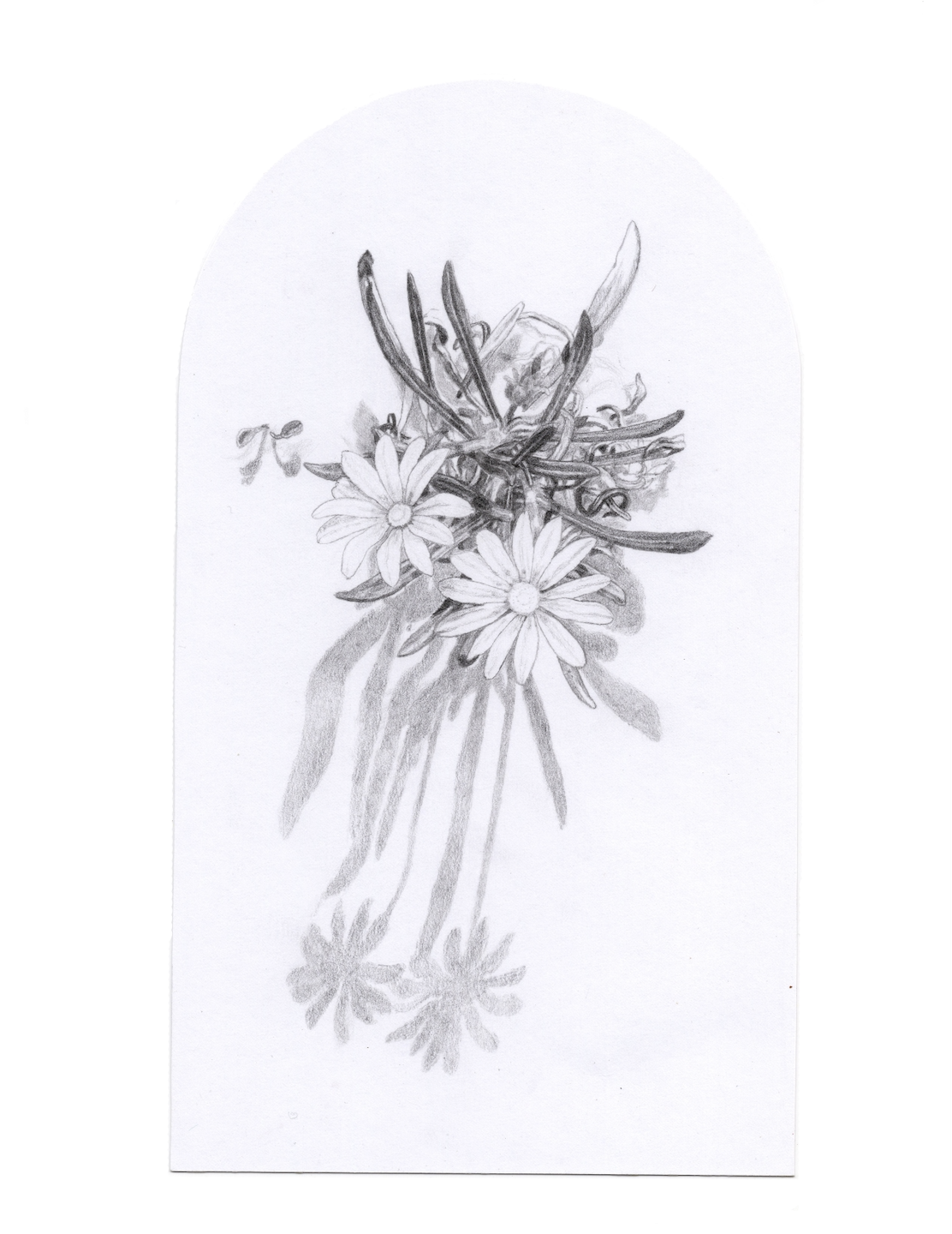 Treasures of the Dunes Original Drawing