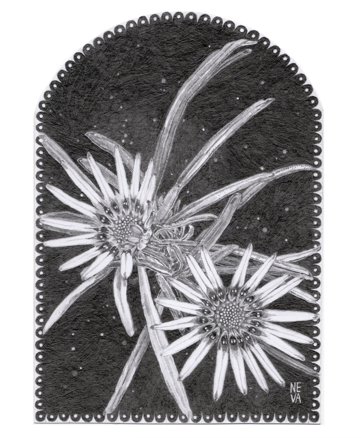 Night Garden Original Drawing
