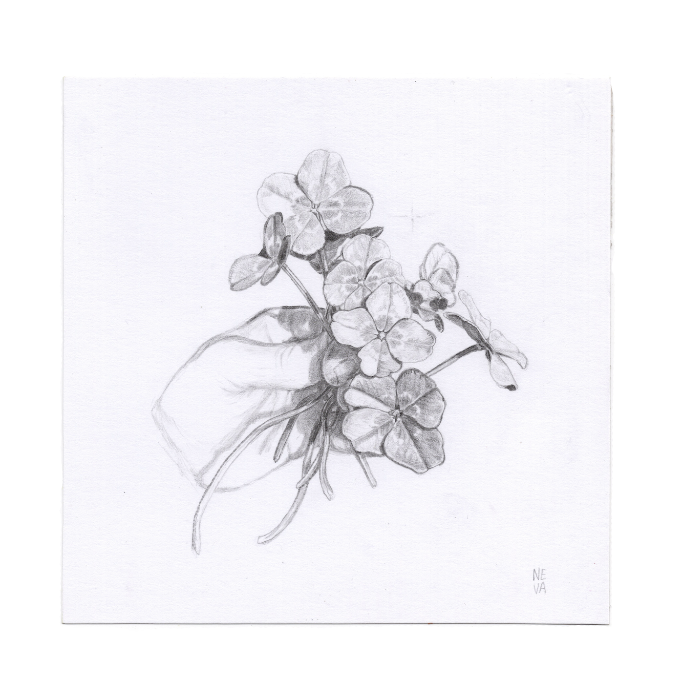 What Grows in Our Favour Original Drawing