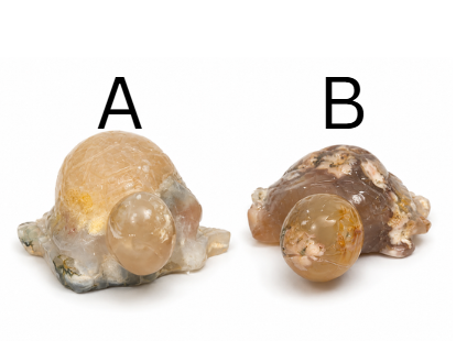 Flower Agate Turtle