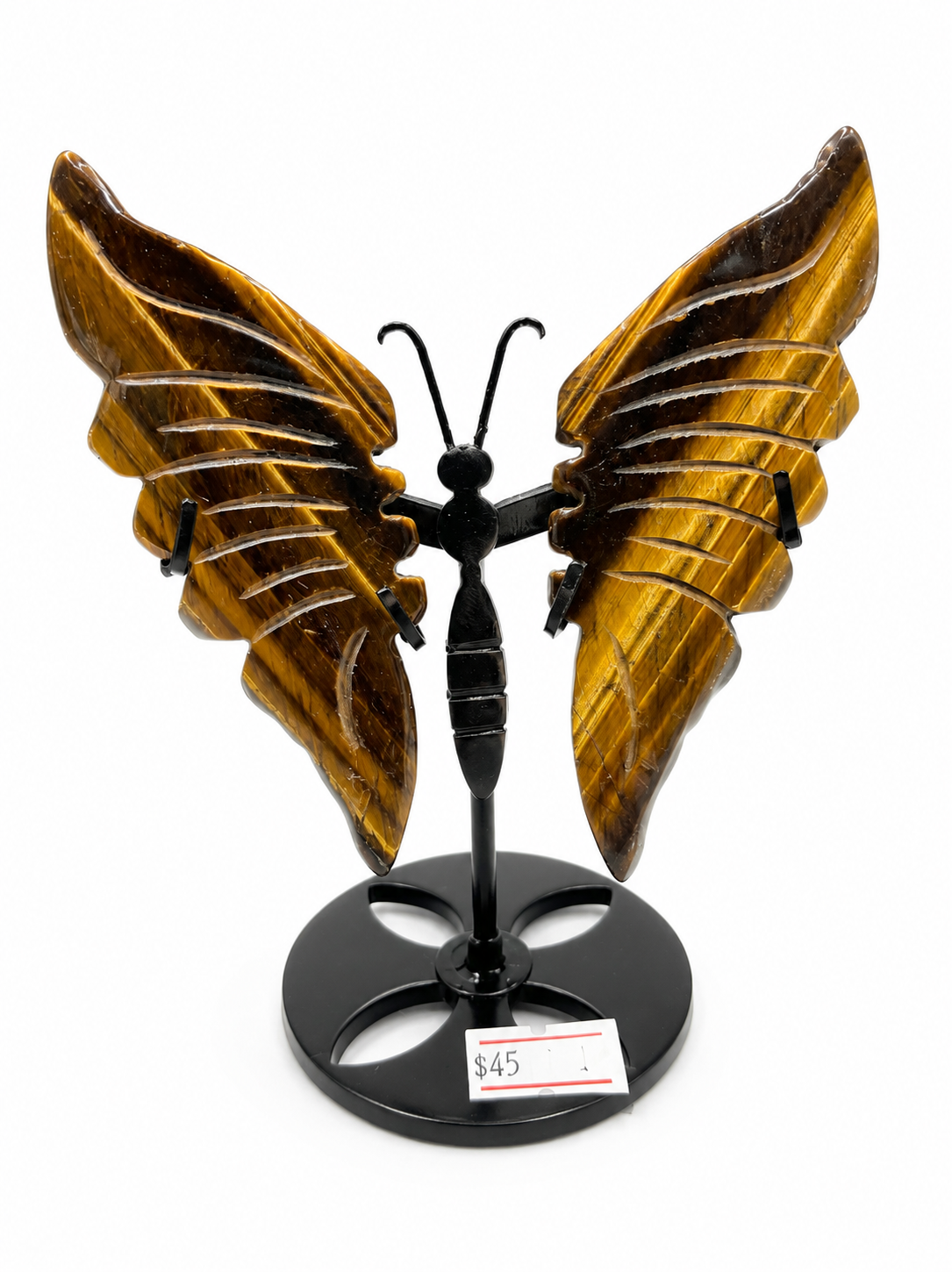 Tigers Eye Wings
