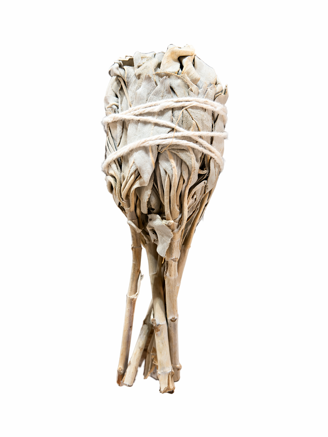 bc5e6a9a-ef7d-4dfd-9808-f343514cb7fe.png