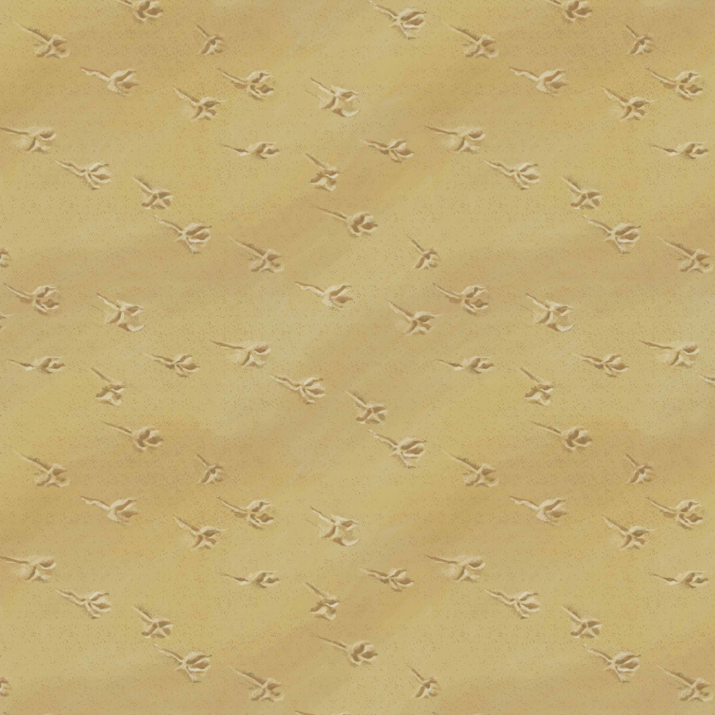 Bird Prints in Sand | Animal Prints | Nature lover | bird watching | Bird Art | seaside | animal tracks | bird tracks | river | mudflats | marshes | desert | sand dunes | Home Decor | Wallpaper | Bed Linen | Stationery Design