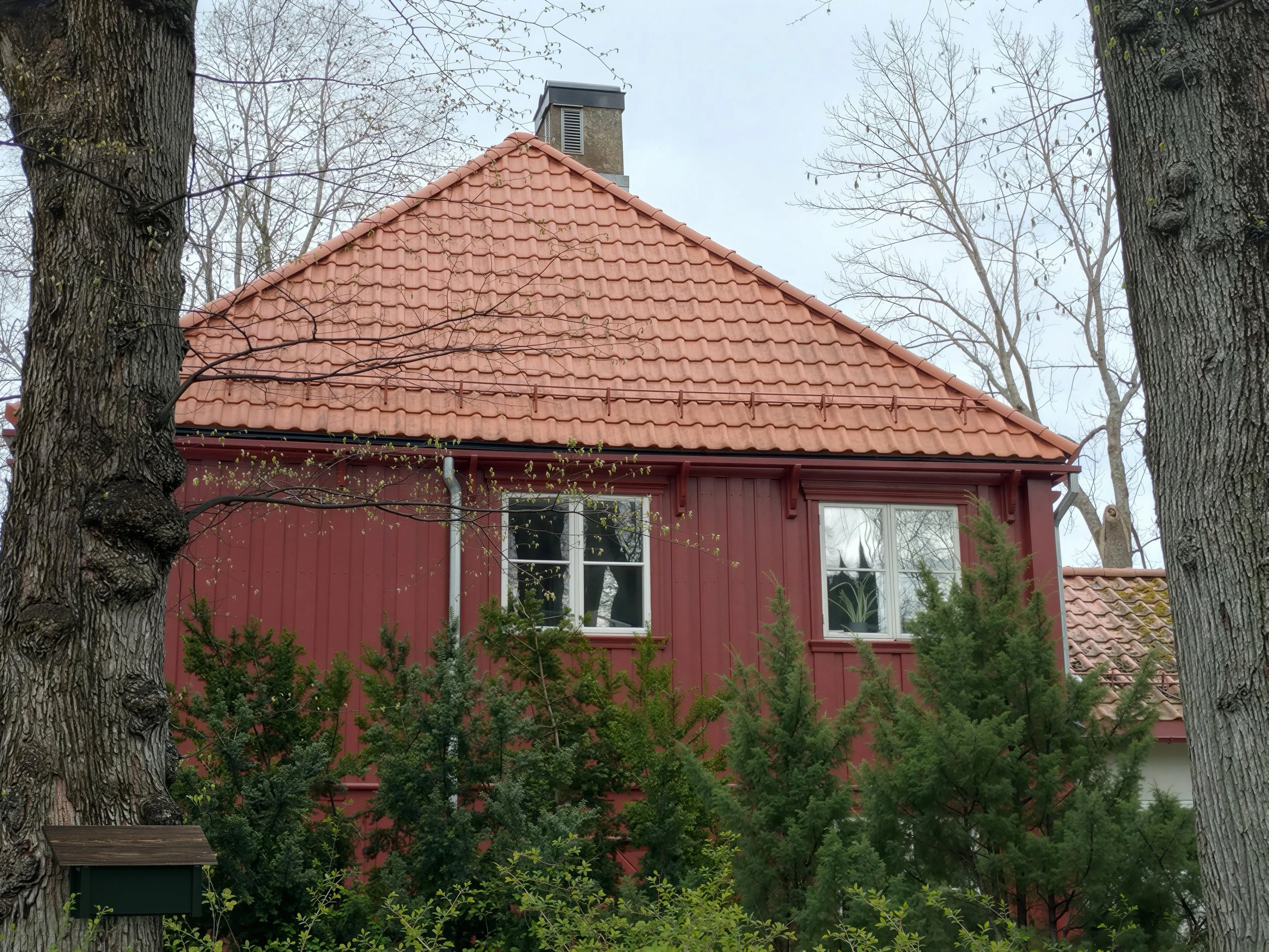 Raubua