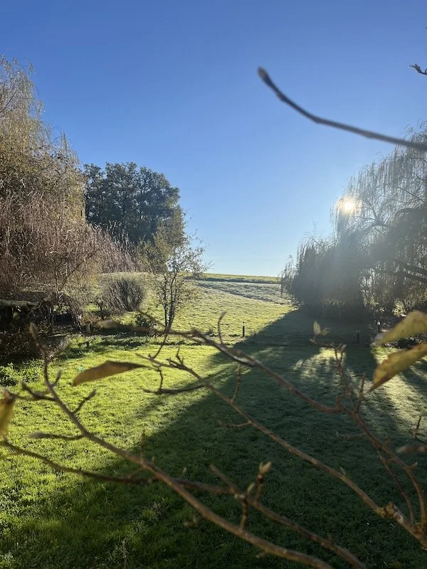 Ausblick vom Gästezimmer und der Terrasse in den Garten