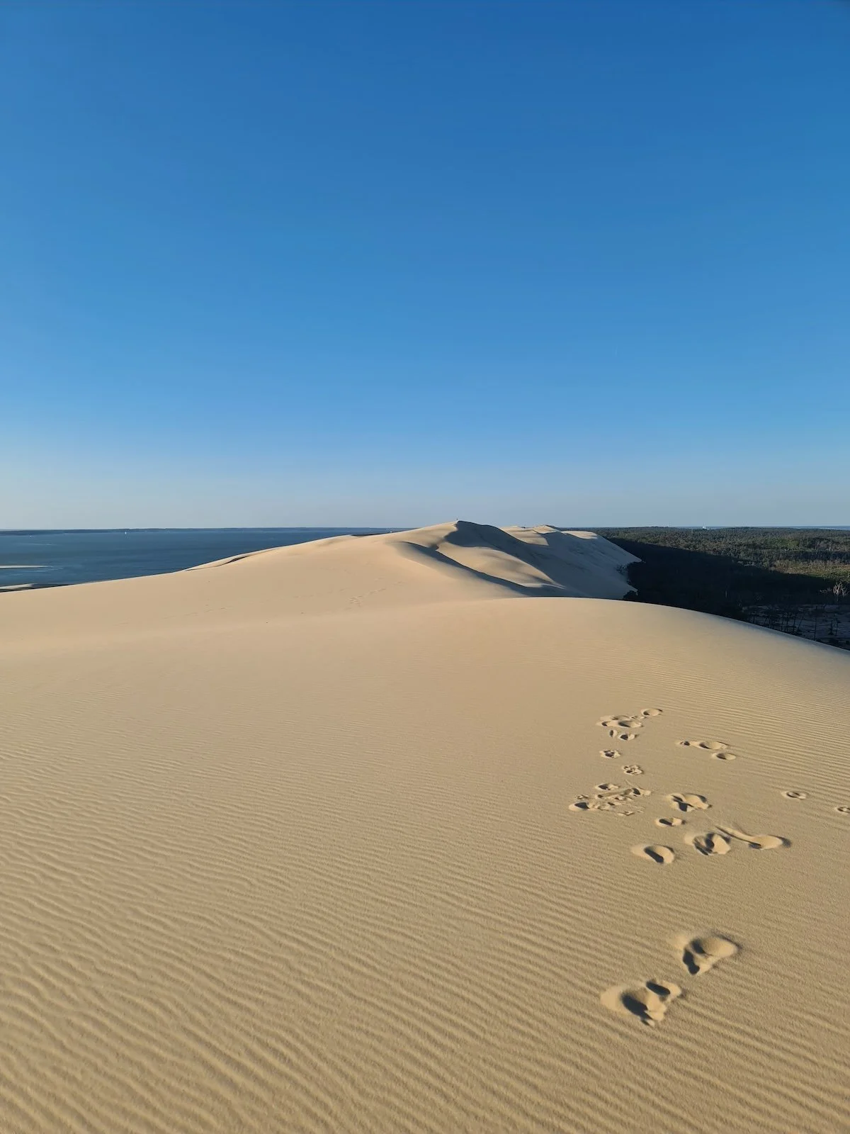 Blick von der Dune du Pilat an der Atlantikküste auf das Becken von Arcachon, Frankreich, mit Sanddüne und Wasser