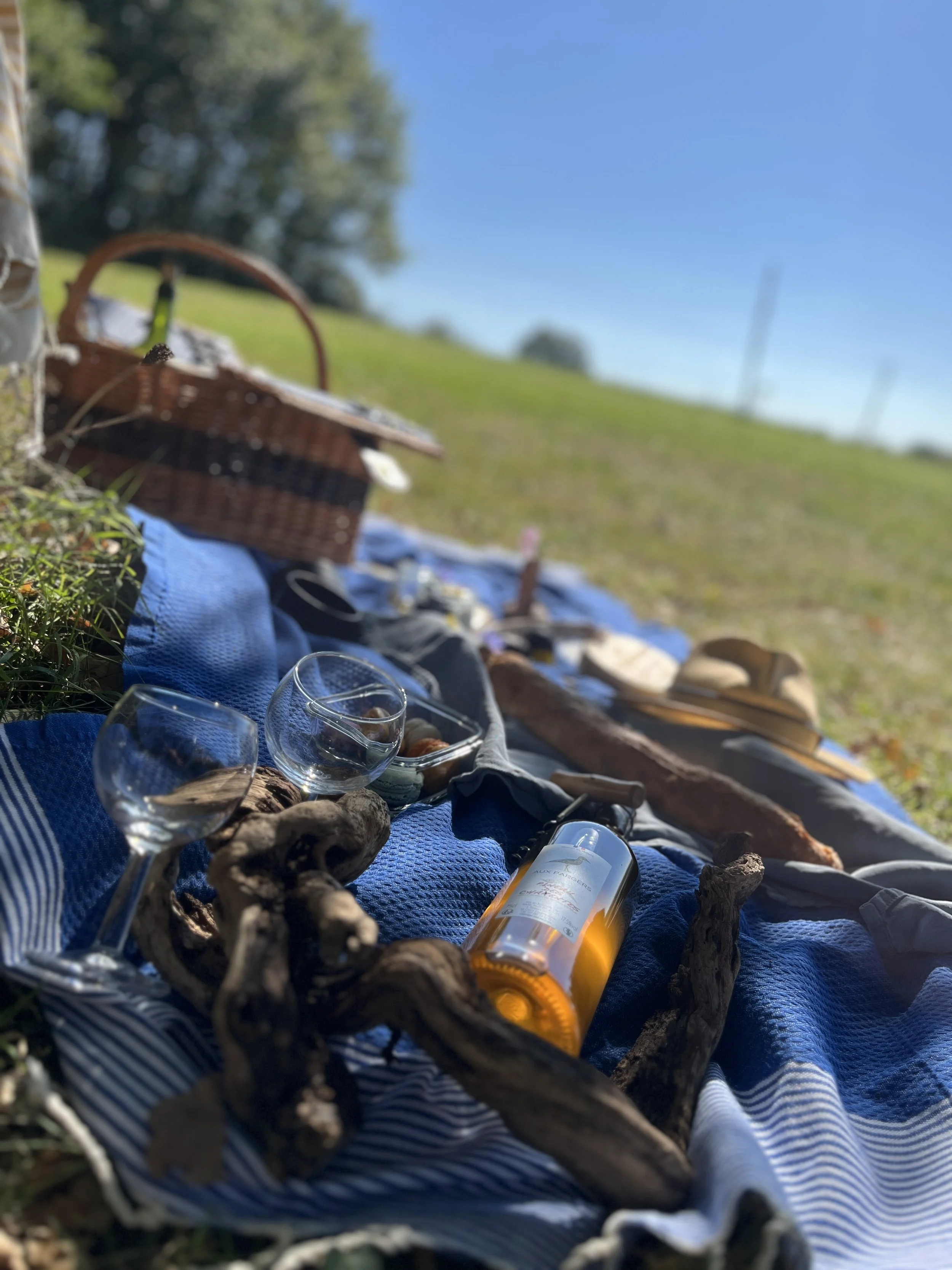 Picknick im Weinberg auf blauer Decke mit Cognac bei einer Chambre d’hôtes in der Charente-Maritime
