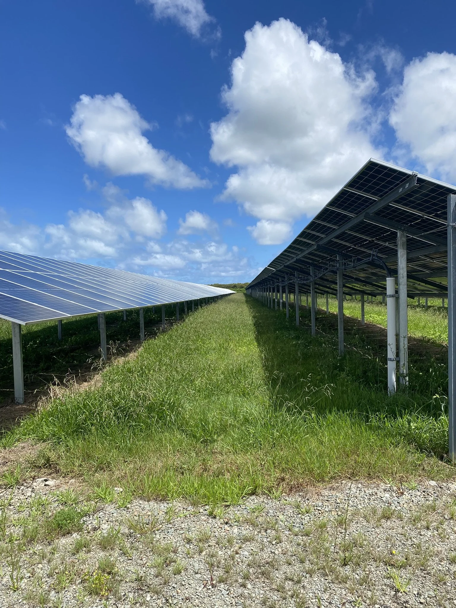 Naumai Solar Farm (4).JPEG