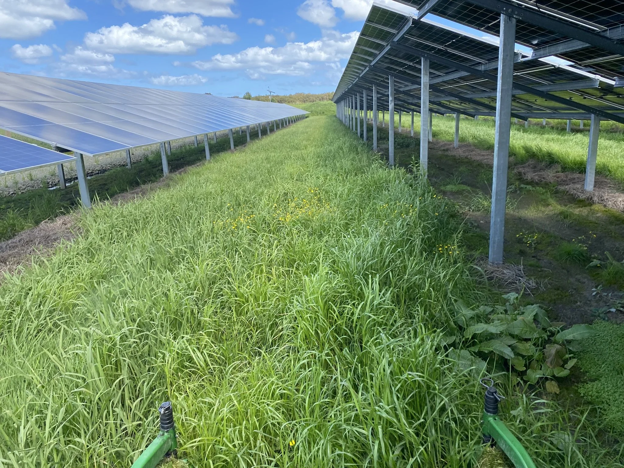 Solar Farm Maintenance
