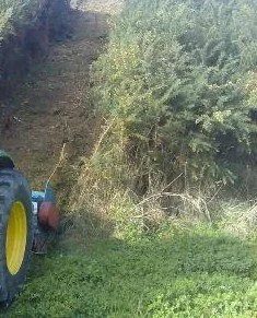 Light and/or Heavy Gorse Mulching