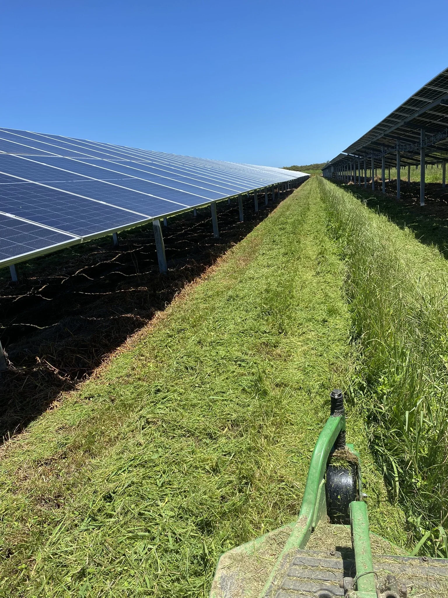 Naumai Solar Farm (3).JPEG