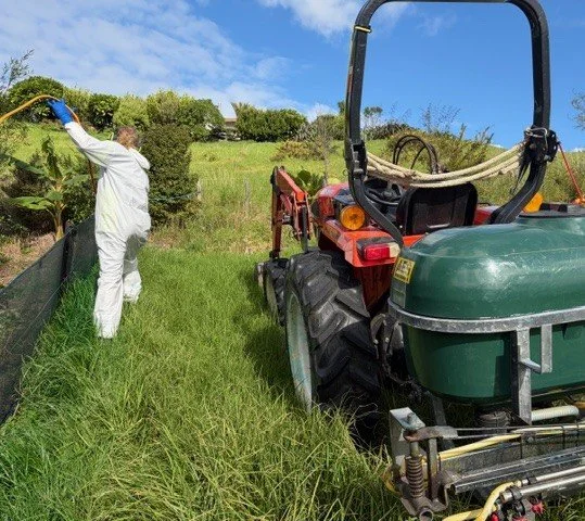 Weed & General Spraying (Chemical & Organic Options)
