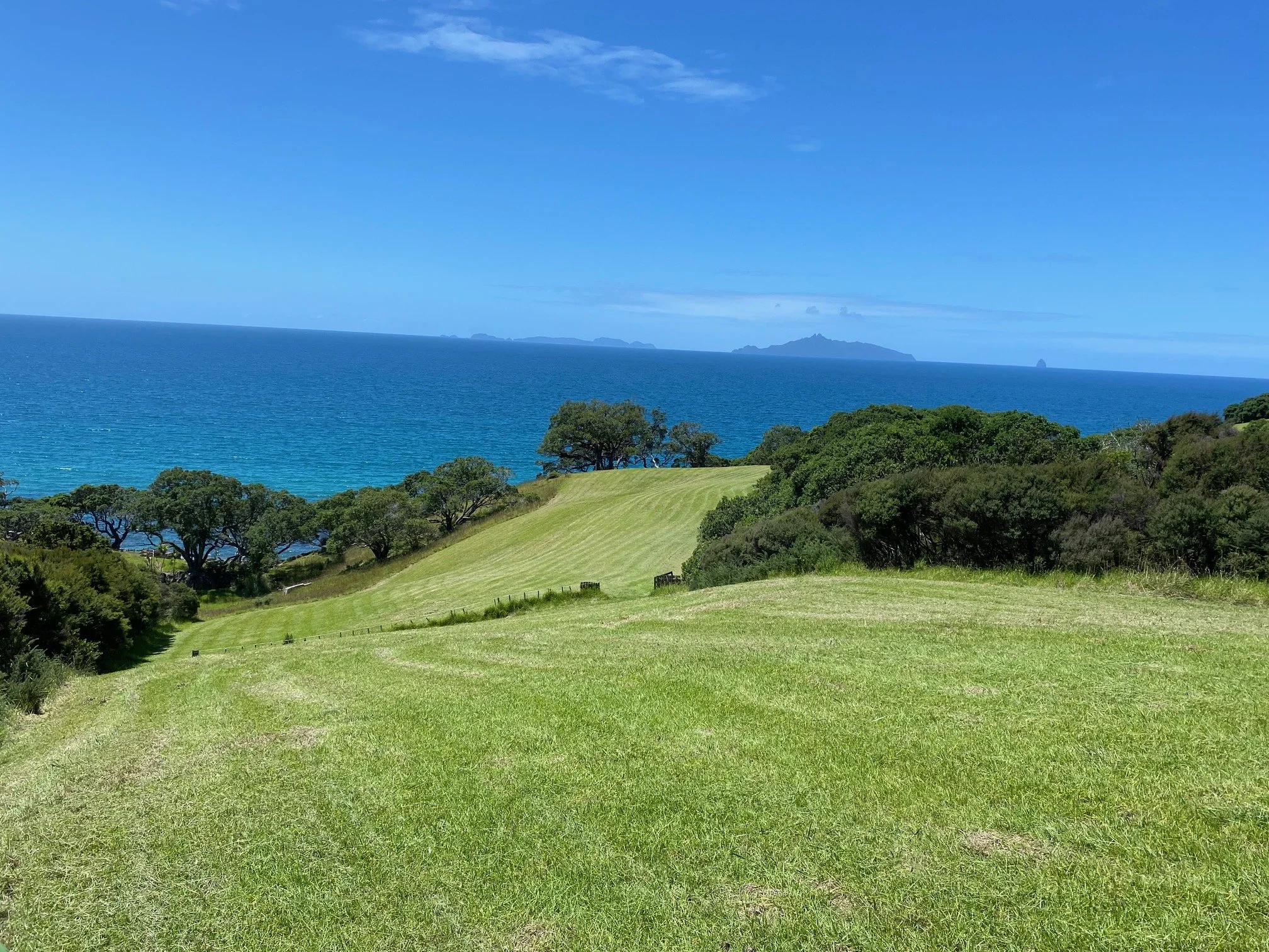 One-Off and Scheduled Paddock Mowing & Mulching