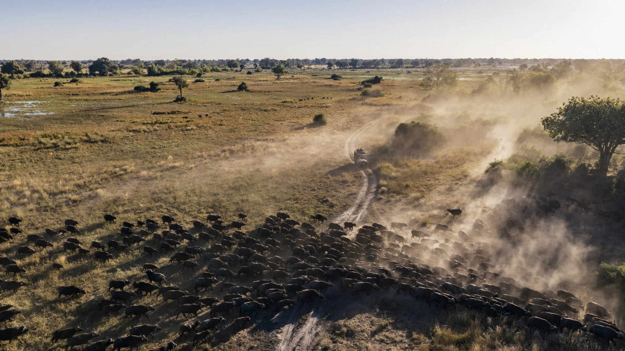 34-Bots_Mbamba_Game Drive 4.jpg