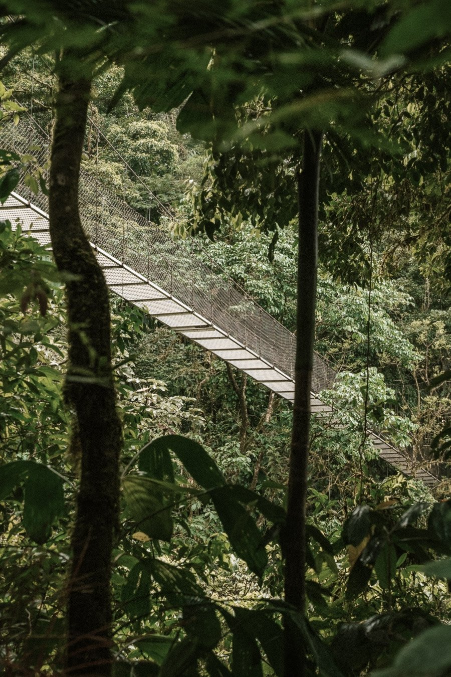 58-Foto puentes colgantes (6).jpg