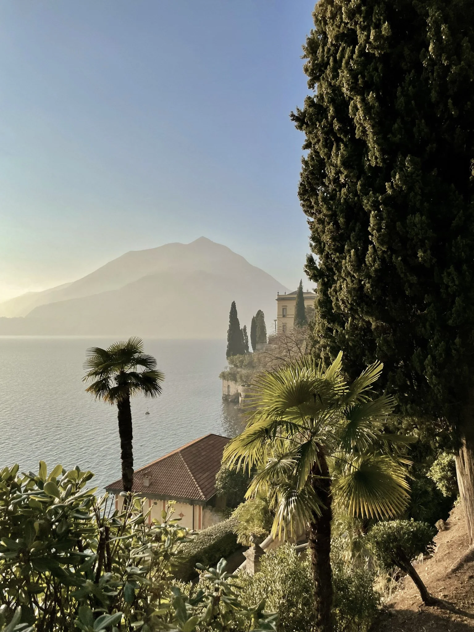 michael-martinelli-2S9pm7iI6dI-unsplash (1).jpg