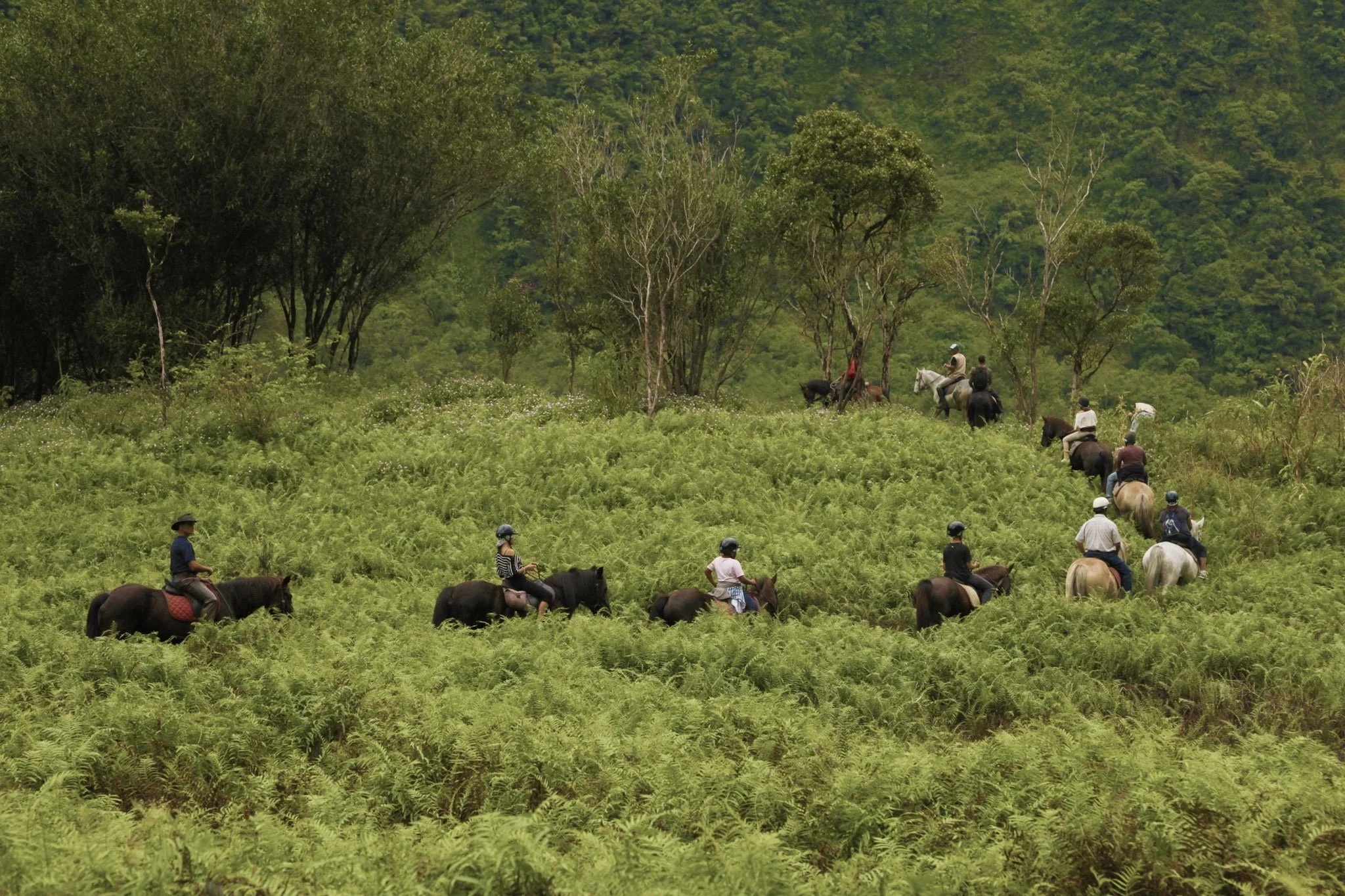 2-equitation19 - CREDIT IRT - emmanuel_virin.jpg