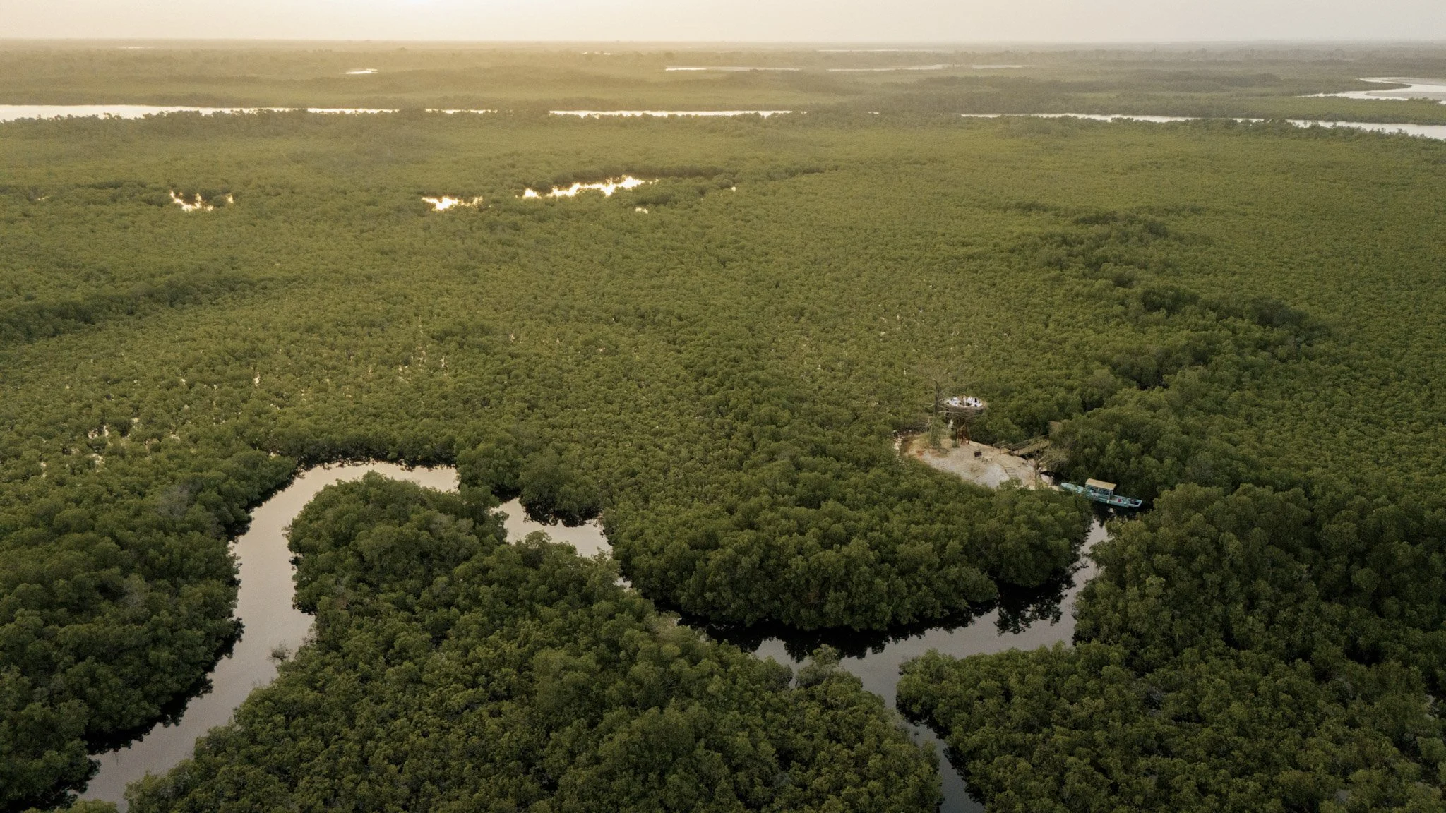 1 2024 Les Paletuviers  -26.jpg