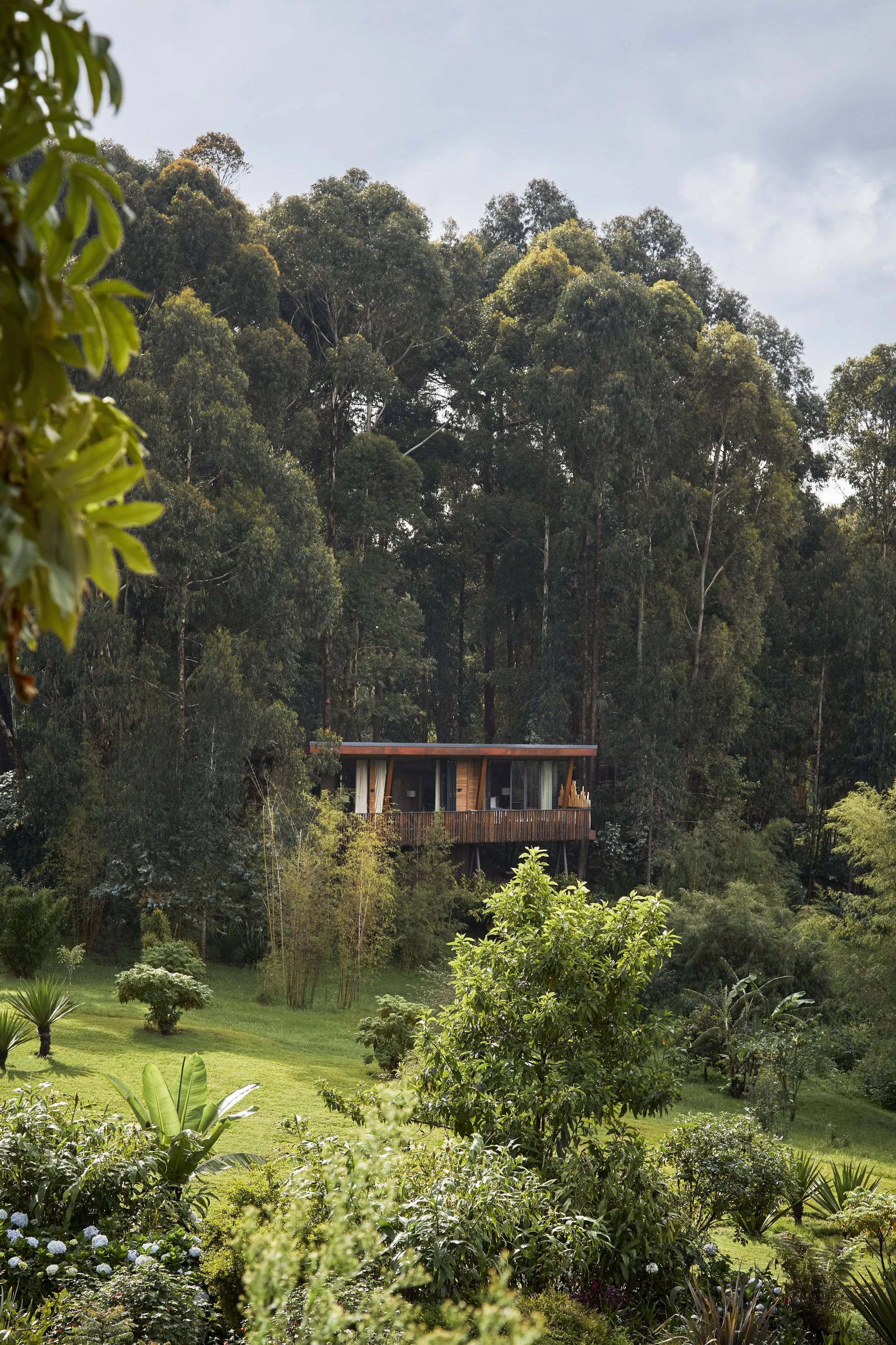 OO_GorillasNest_Exteriors_Virunga_Suite_01_MASTER_HR.jpg