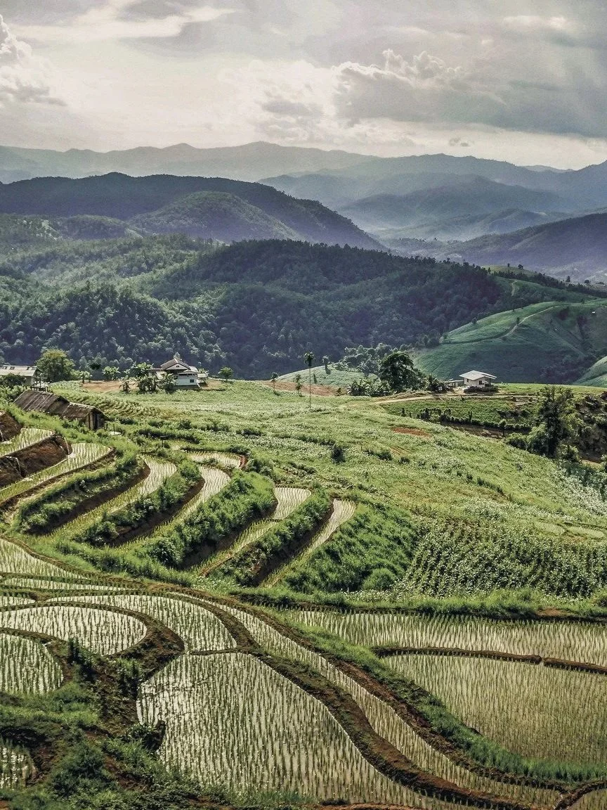 Rondreis Thailand: eeuwenoude schatten