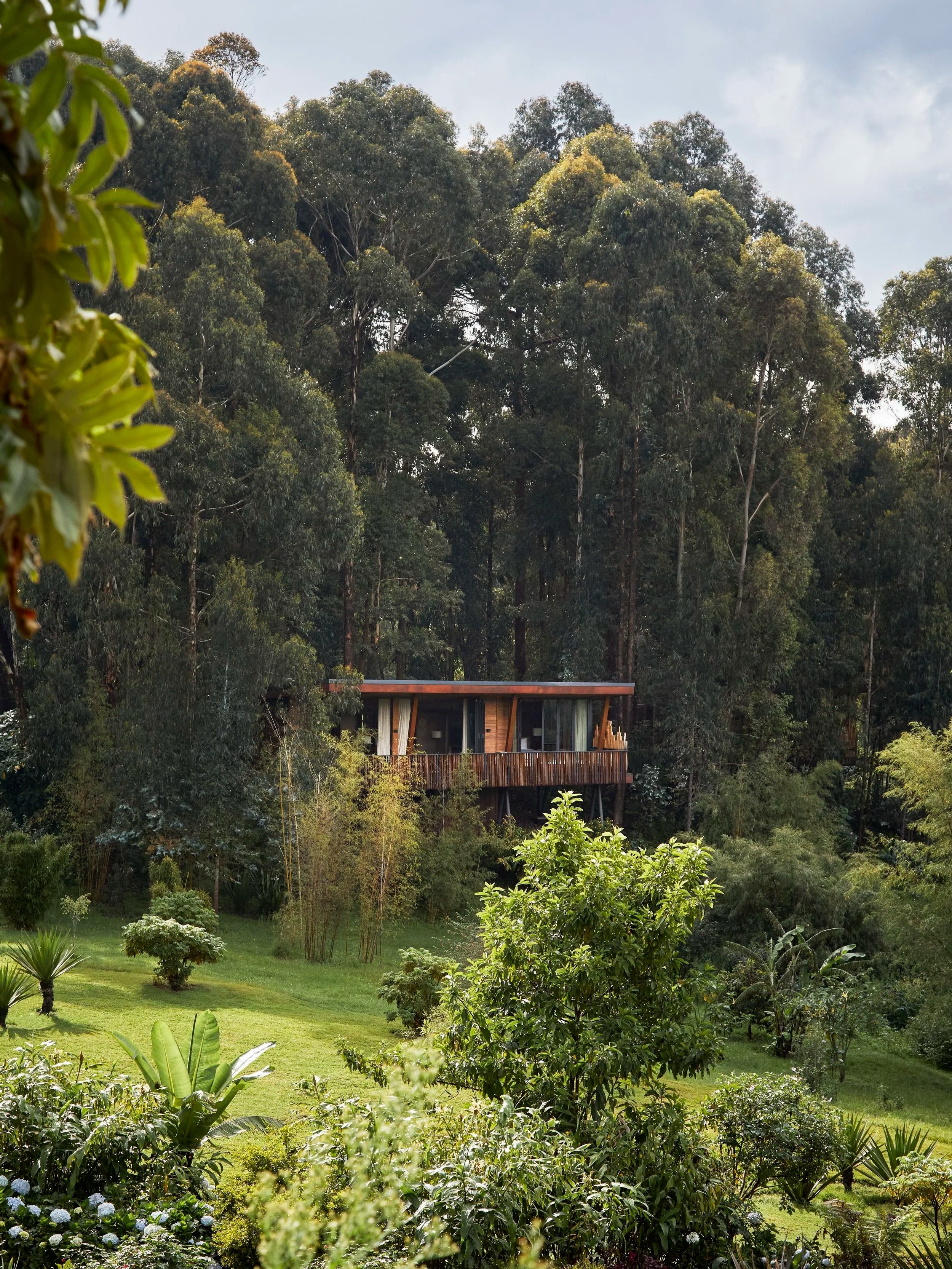 One&amp;Only Gorilla's Nest, Rwanda 