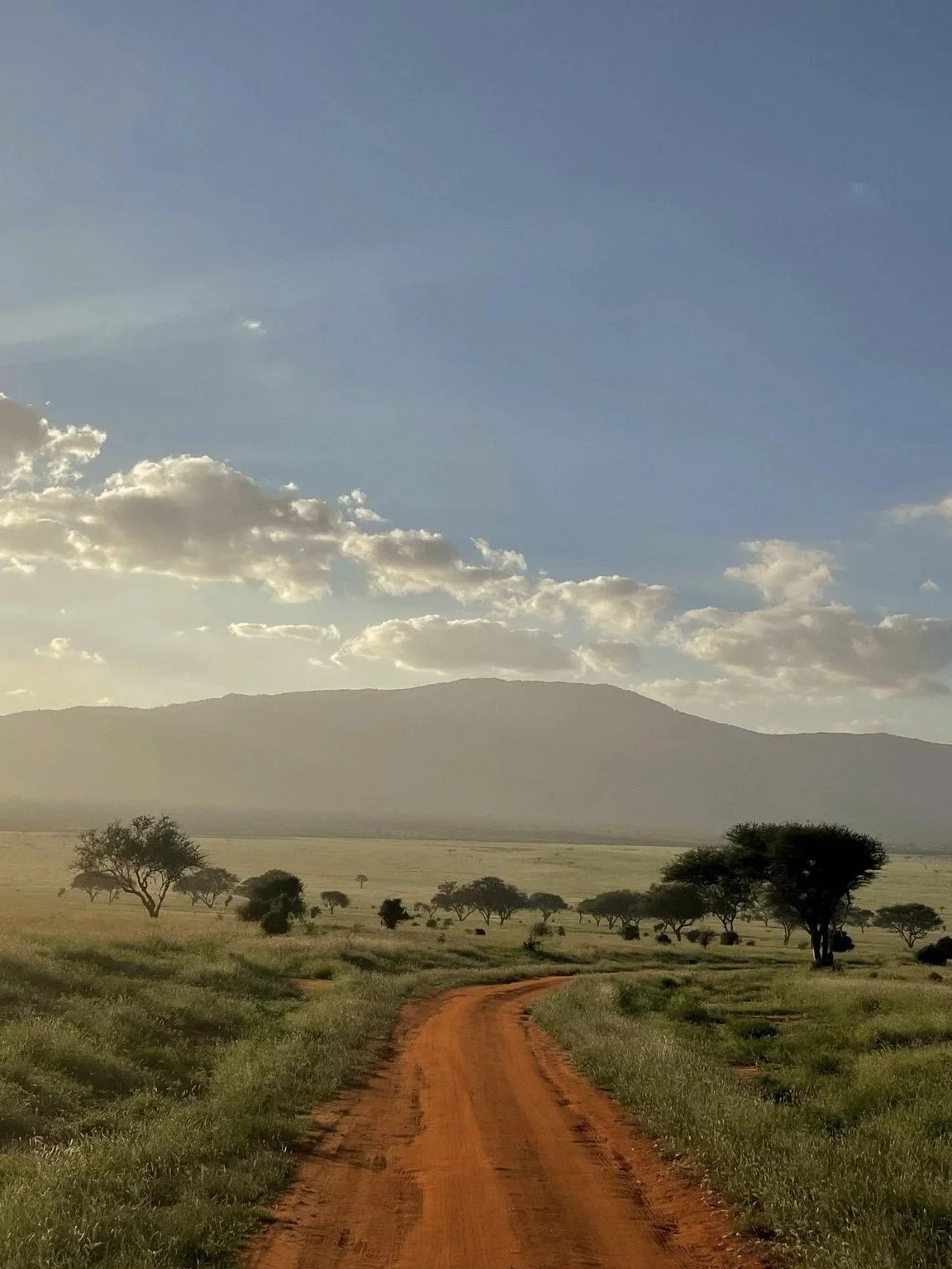 Kilimanjaro: spectaculaire expeditie