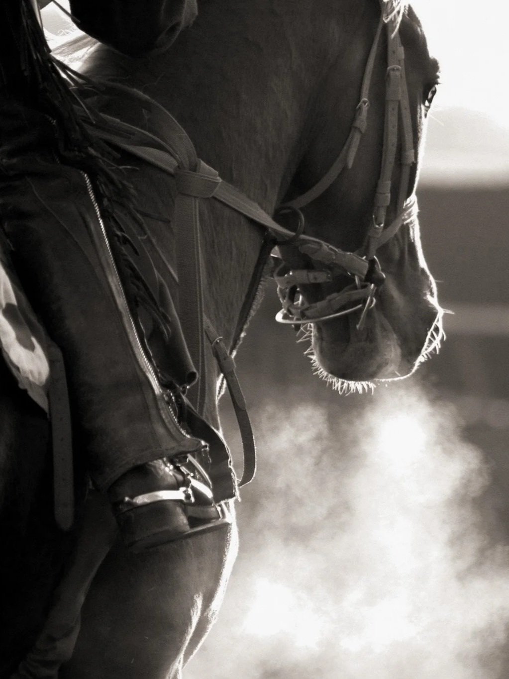 Palio di Siena: spanning in het hart van Toscane