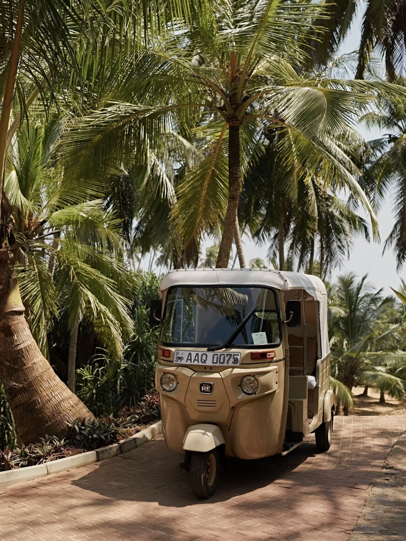 Rondreis Sri Lanka: honeymoon edition