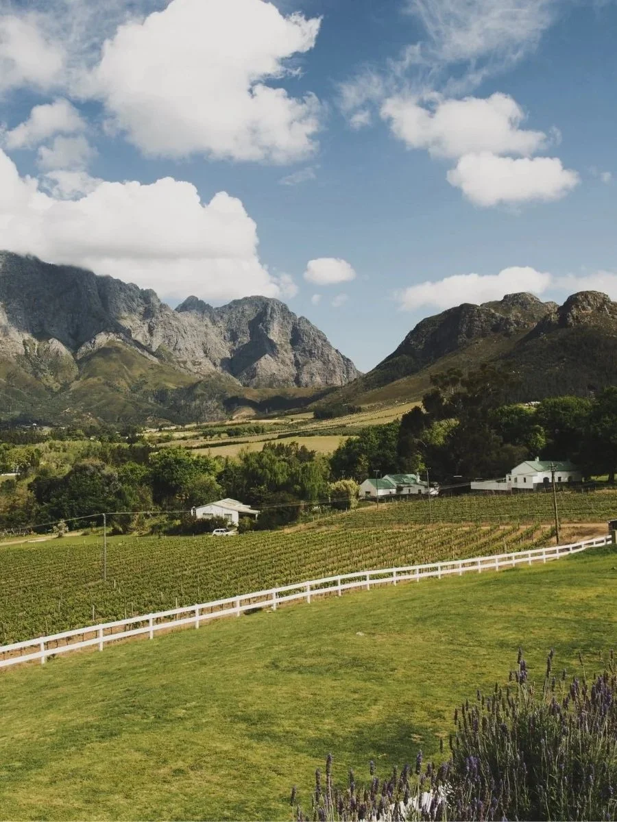 Citytrip Kaapstad: stad, wijnlanden en kust