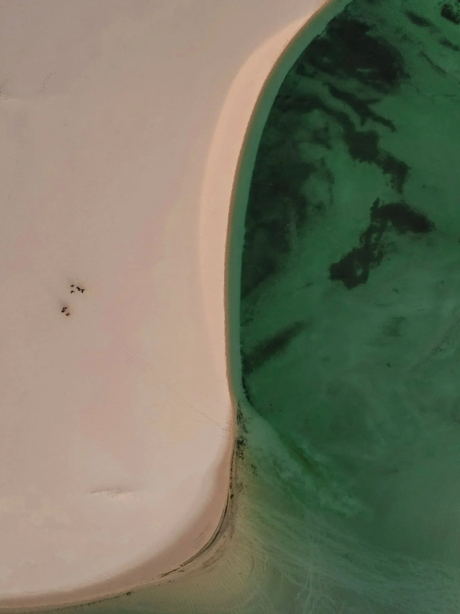 Circuit au Brésil : Route des émotions