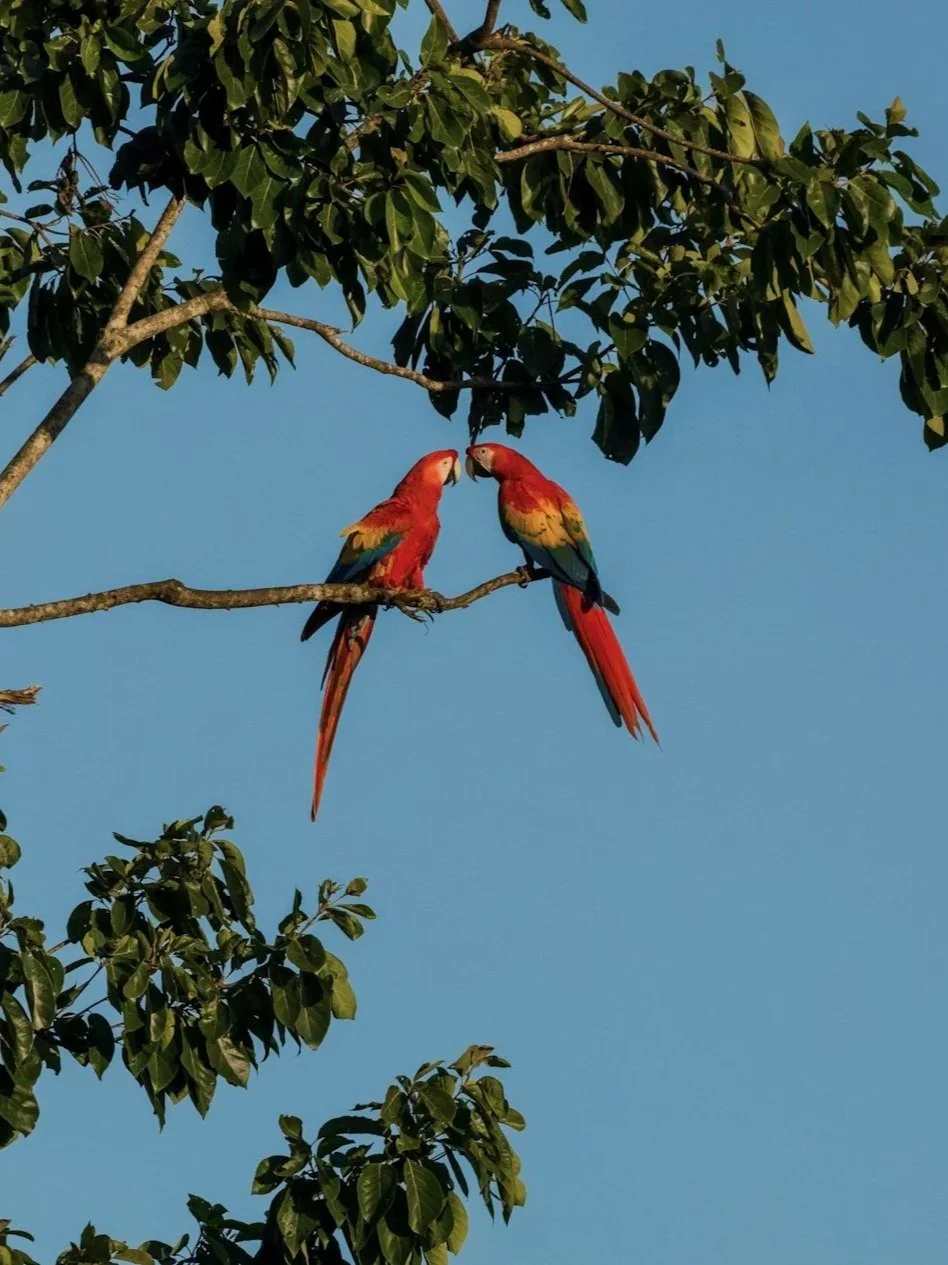 Rondreis Costa Rica: verborgen paradijs voor twee