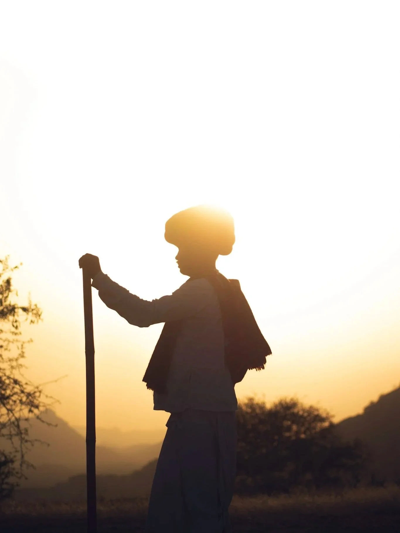 Rondreis Rajasthan: Royal India, Wild Rajasthan