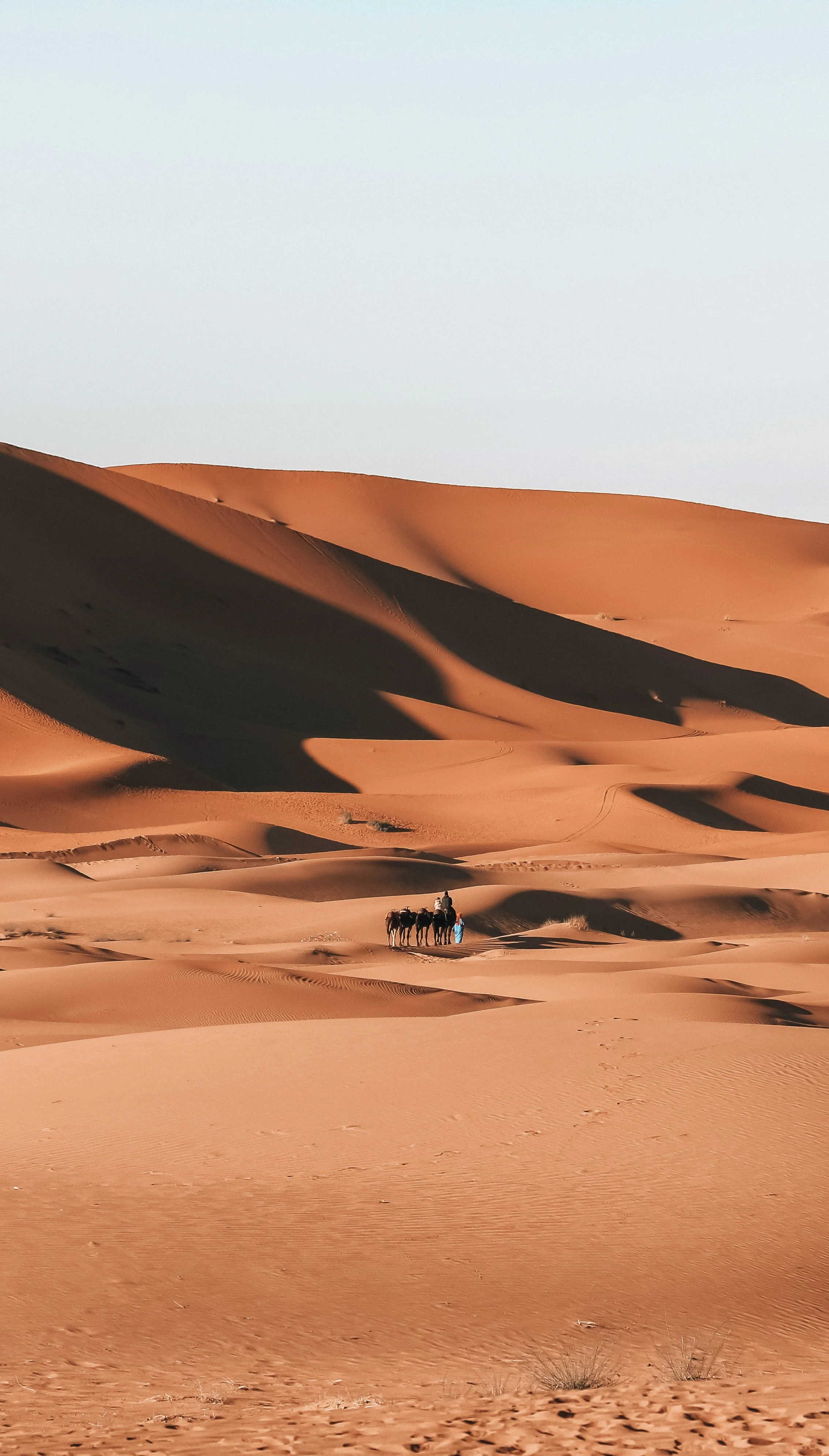 zakariae-daoui-iue7LMCMyDg-unsplash (1).jpg