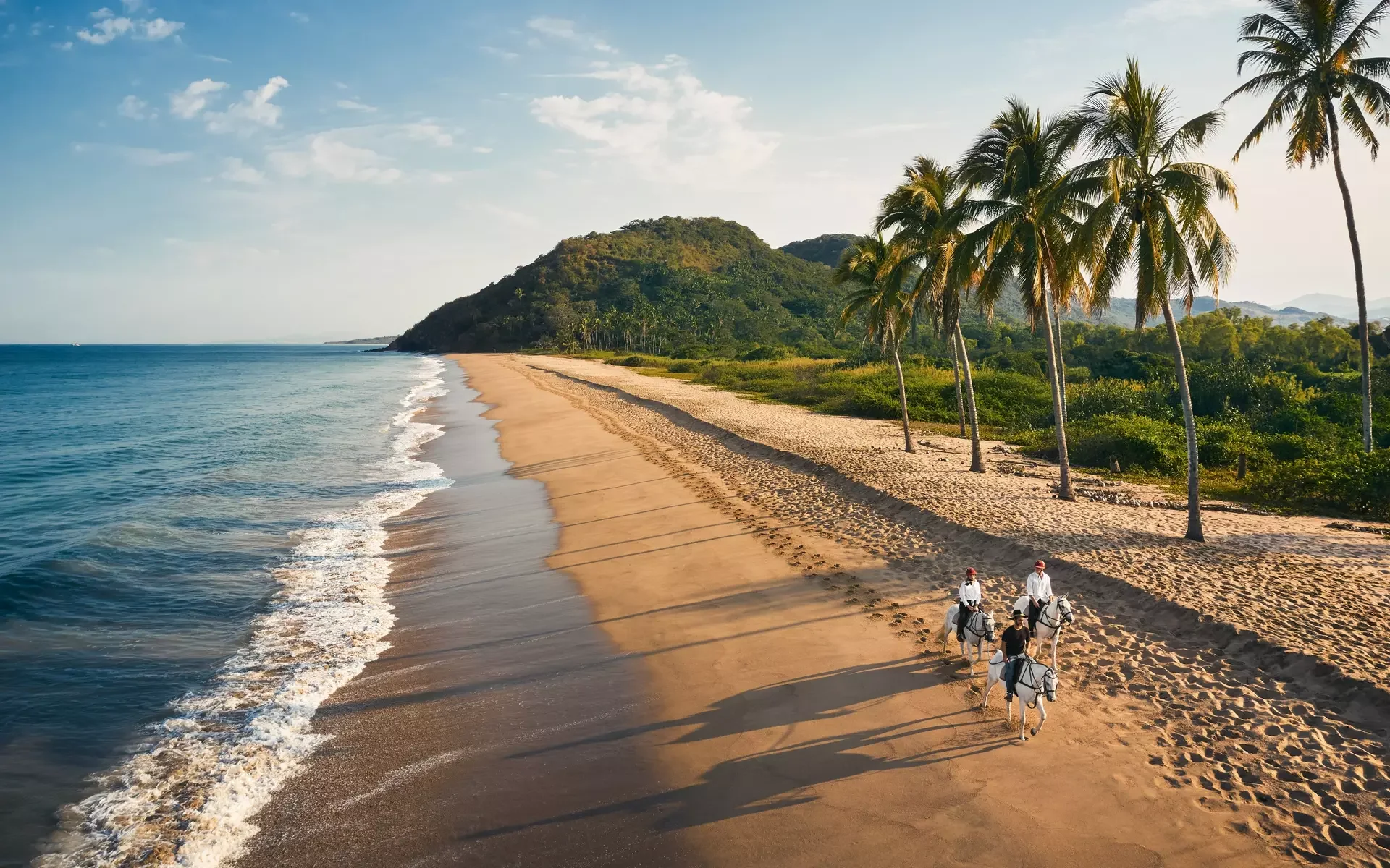 RLH_Mandarina_Exp_HorseRidingBeach_3287_MASTER.webp