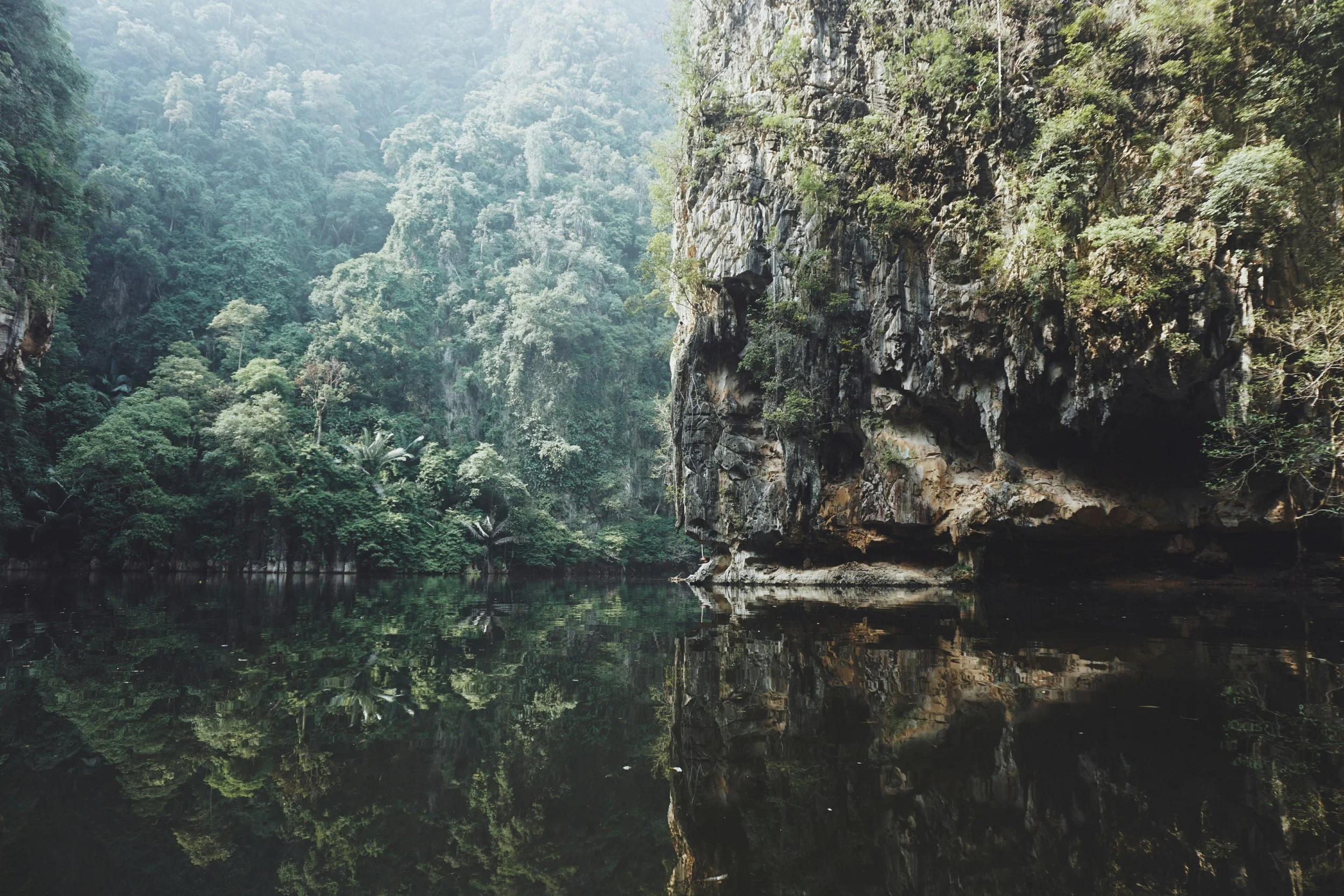 iqx-azmi-tbmejsS-rPA-unsplash.jpg