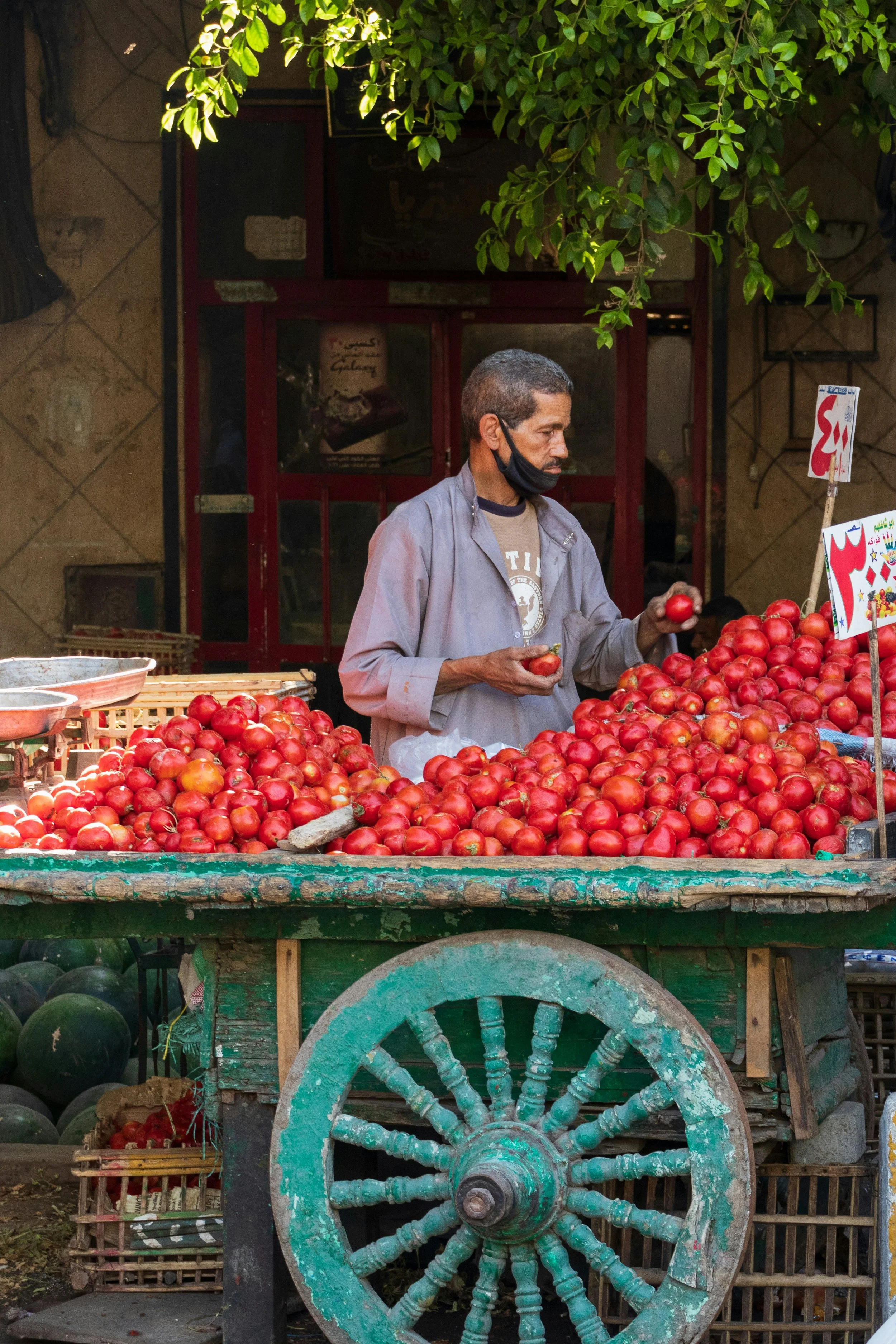 Citytrip Cairo 3.jpg